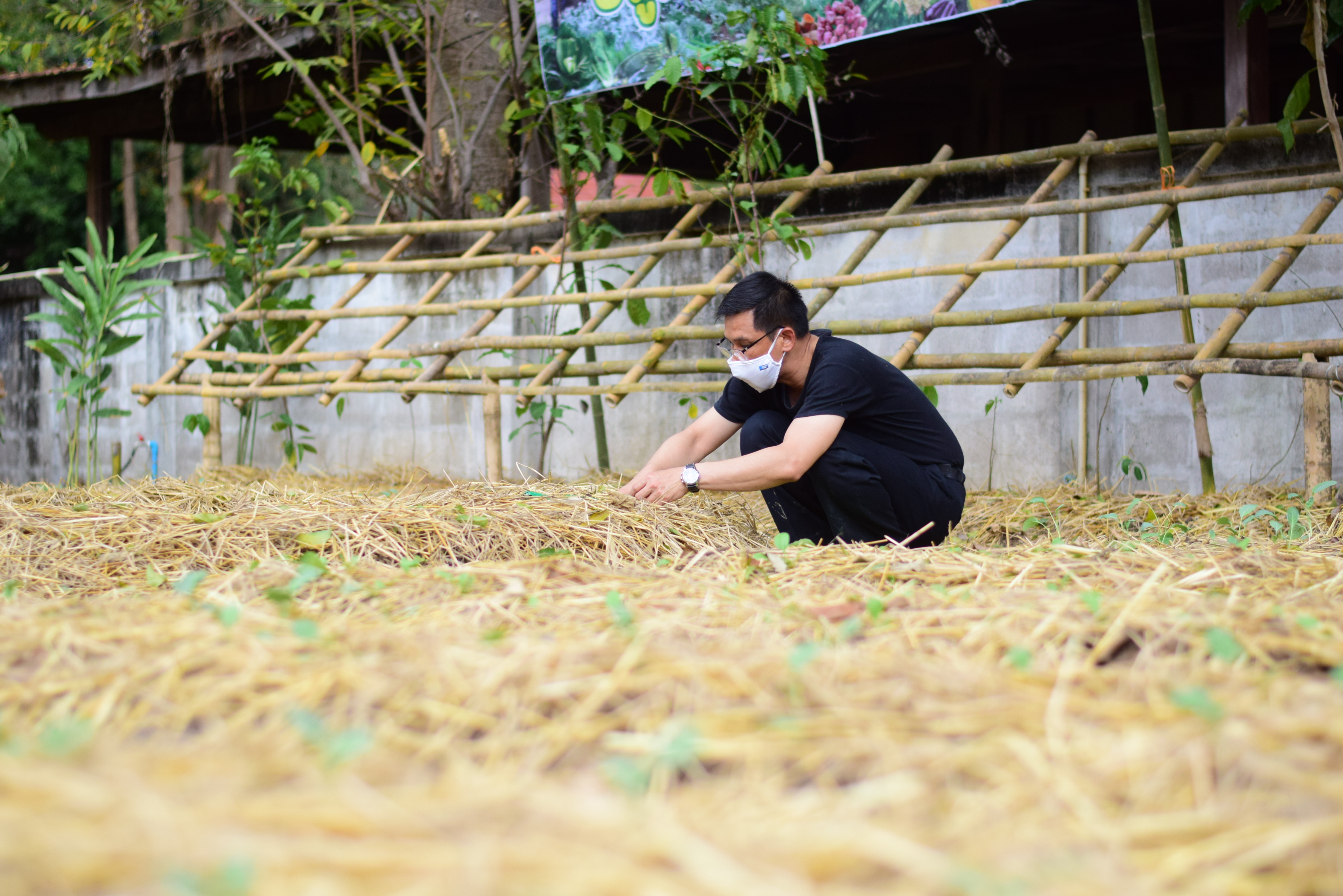 @ที่นี่เมืองน่าน@ “จวนผู้ว่ามีรักปลูกผักกินเอง”  พช.น่าน จัดกิจกรรม Kick off ปลูกผักสวนครัวสร้างความมั่นคงทางอาหาร ปฏิบัติการรวมพลัง สร้างความมั่นคงทางอาหาร