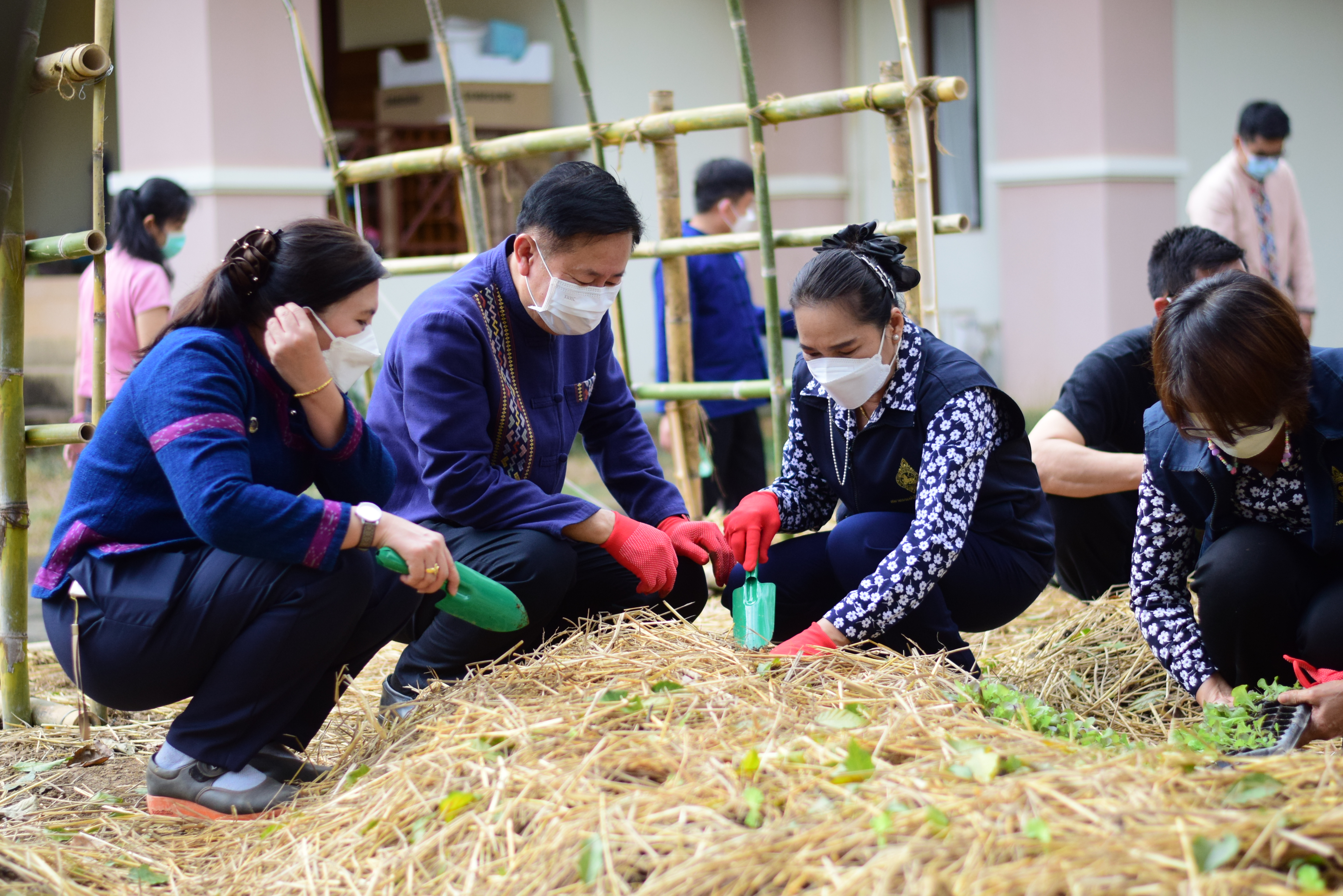 @ที่นี่เมืองน่าน@ “จวนผู้ว่ามีรักปลูกผักกินเอง”  พช.น่าน จัดกิจกรรม Kick off ปลูกผักสวนครัวสร้างความมั่นคงทางอาหาร ปฏิบัติการรวมพลัง สร้างความมั่นคงทางอาหาร