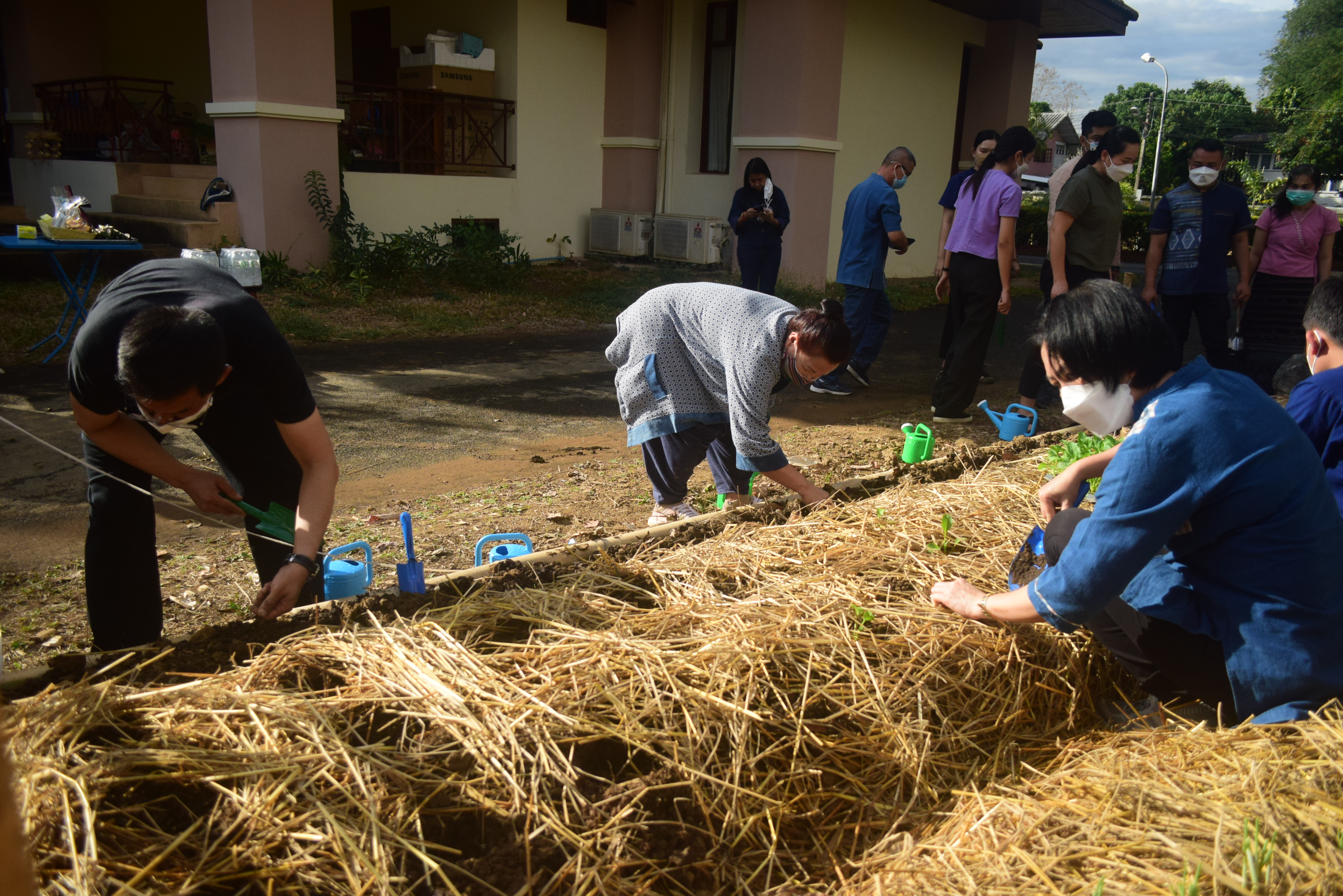 @ที่นี่เมืองน่าน@ “จวนผู้ว่ามีรักปลูกผักกินเอง”  พช.น่าน จัดกิจกรรม Kick off ปลูกผักสวนครัวสร้างความมั่นคงทางอาหาร ปฏิบัติการรวมพลัง สร้างความมั่นคงทางอาหาร