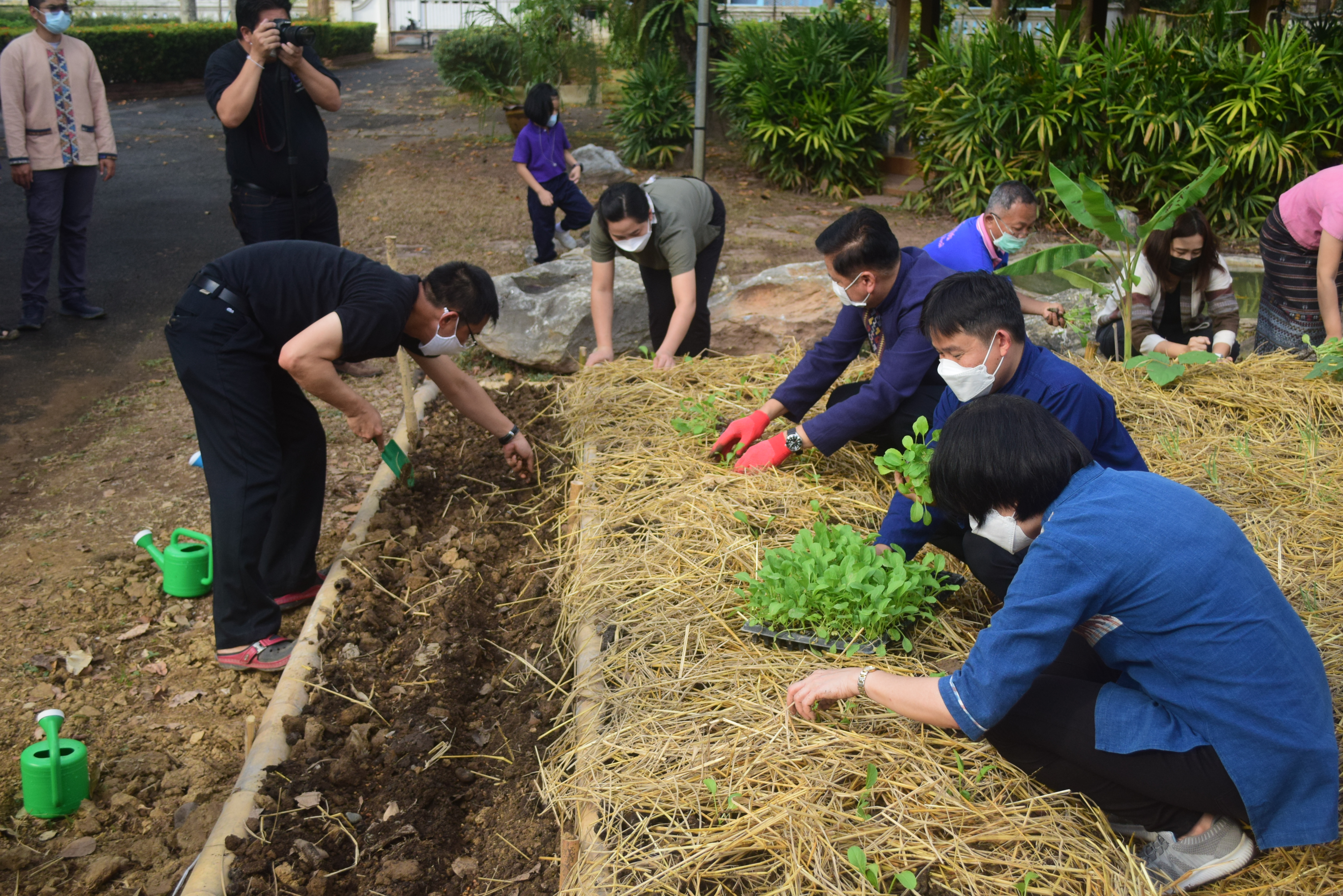 @ที่นี่เมืองน่าน@ “จวนผู้ว่ามีรักปลูกผักกินเอง”  พช.น่าน จัดกิจกรรม Kick off ปลูกผักสวนครัวสร้างความมั่นคงทางอาหาร ปฏิบัติการรวมพลัง สร้างความมั่นคงทางอาหาร