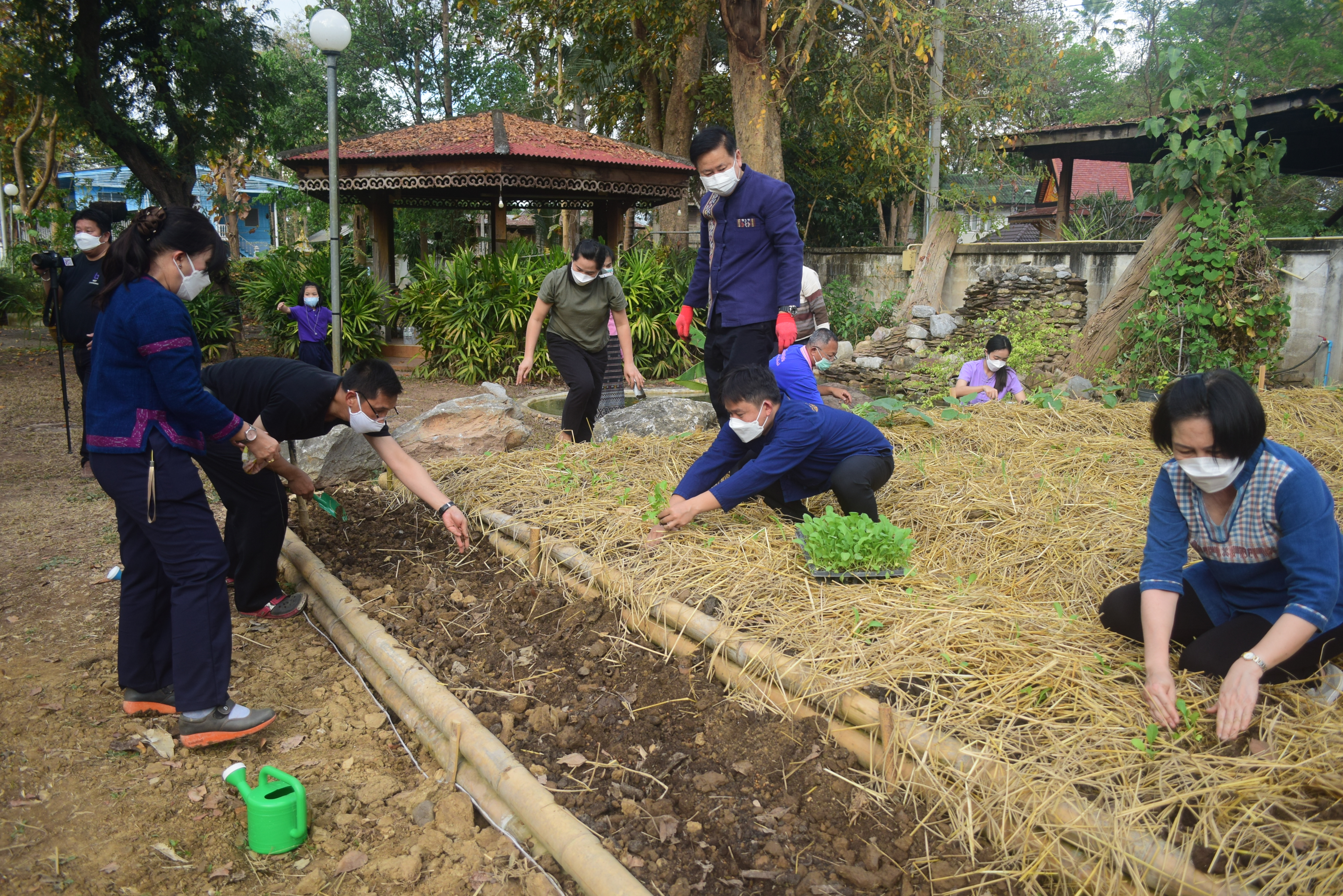 @ที่นี่เมืองน่าน@ “จวนผู้ว่ามีรักปลูกผักกินเอง”  พช.น่าน จัดกิจกรรม Kick off ปลูกผักสวนครัวสร้างความมั่นคงทางอาหาร ปฏิบัติการรวมพลัง สร้างความมั่นคงทางอาหาร