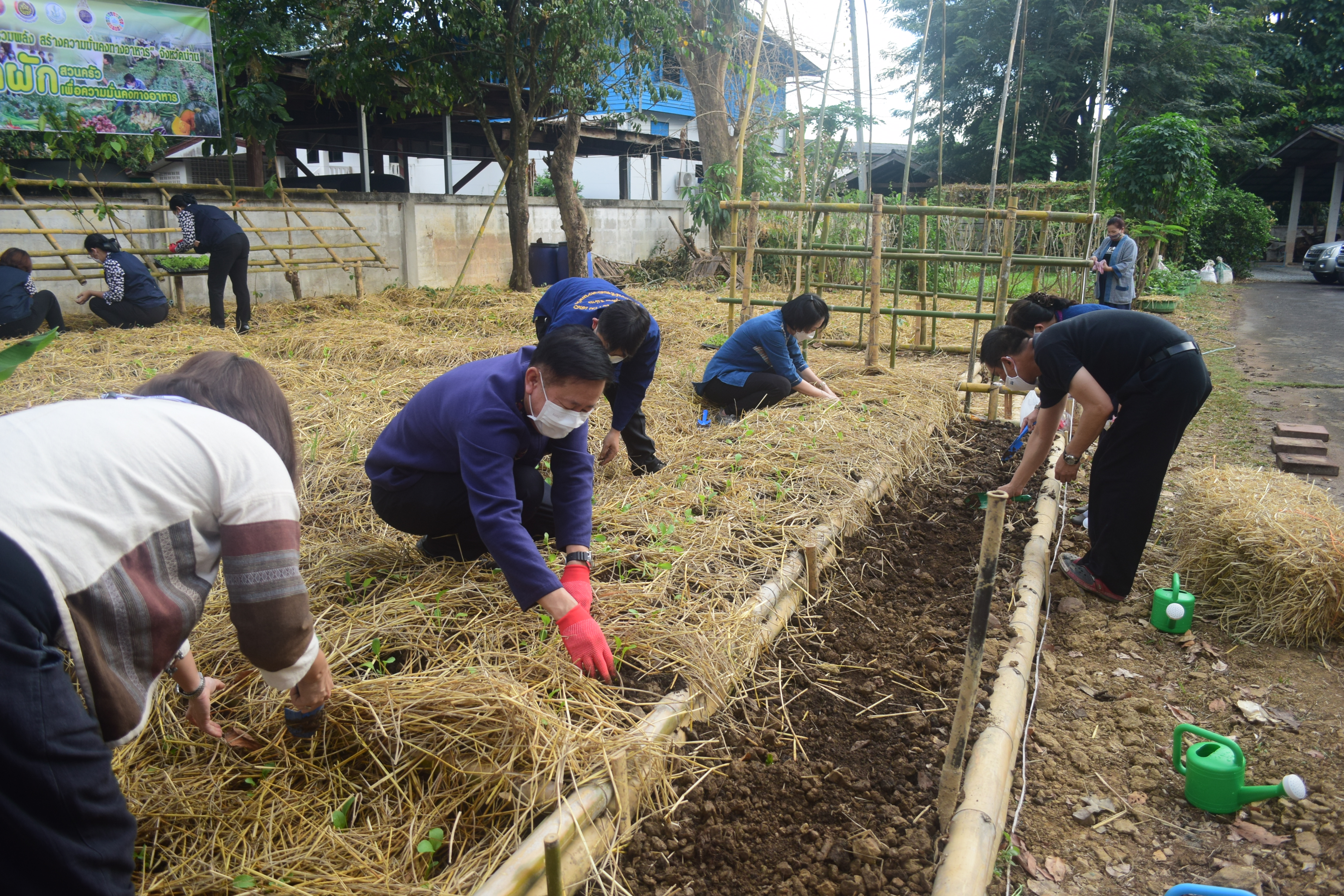 @ที่นี่เมืองน่าน@ “จวนผู้ว่ามีรักปลูกผักกินเอง”  พช.น่าน จัดกิจกรรม Kick off ปลูกผักสวนครัวสร้างความมั่นคงทางอาหาร ปฏิบัติการรวมพลัง สร้างความมั่นคงทางอาหาร