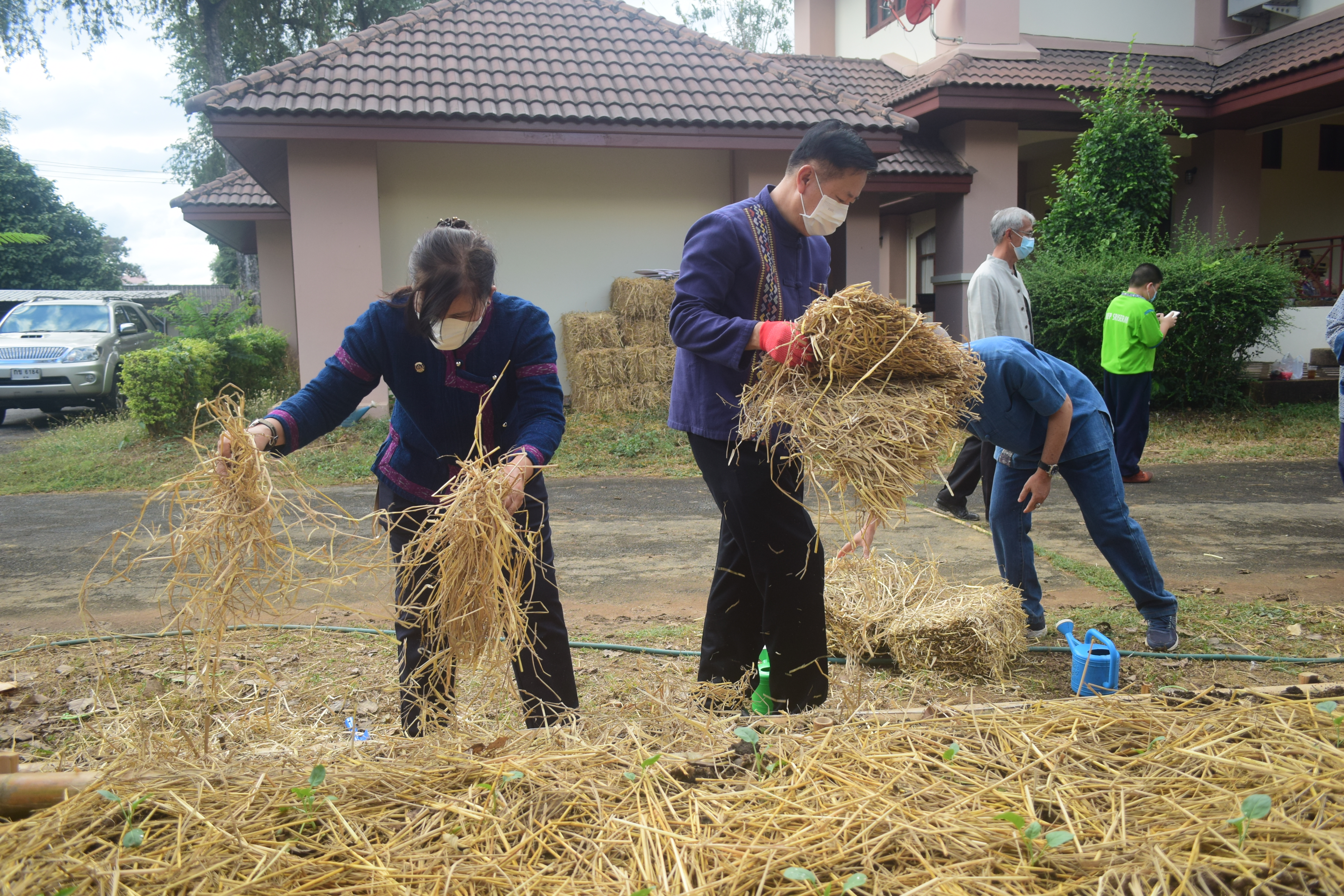 @ที่นี่เมืองน่าน@ “จวนผู้ว่ามีรักปลูกผักกินเอง”  พช.น่าน จัดกิจกรรม Kick off ปลูกผักสวนครัวสร้างความมั่นคงทางอาหาร ปฏิบัติการรวมพลัง สร้างความมั่นคงทางอาหาร