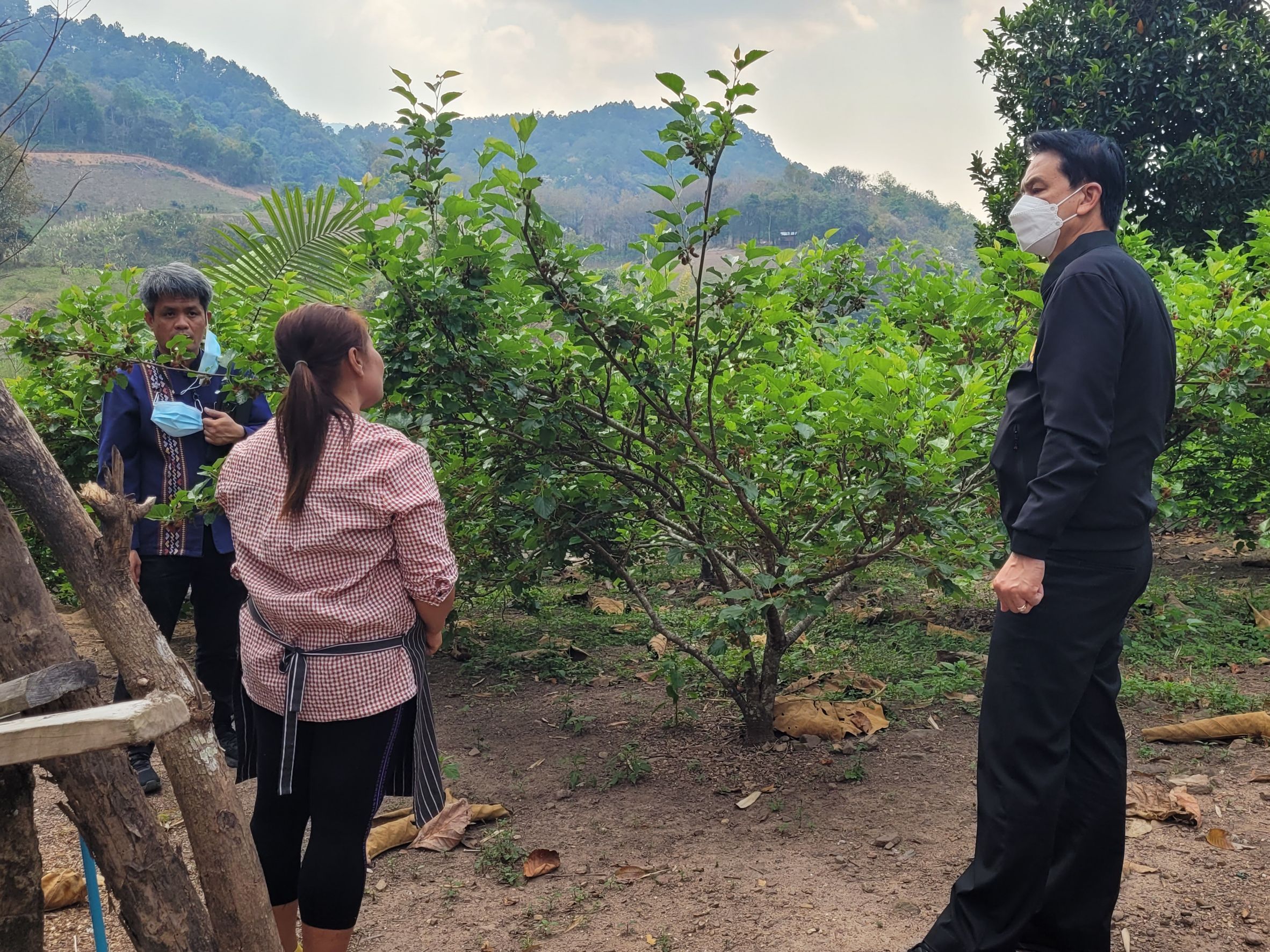 @ที่นี่เมืองน่าน@ นายอาทร พิมชะนก ผู้ตรวจราชการกรมการพัฒนาชุมชน ลงพื้นที่ จังหวัดน่าน ติดตามการขับเคลื่อนภารกิจสำคัญกรมการพัฒนาชุมชน