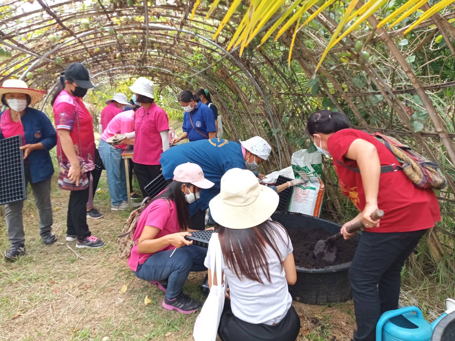 @ที่นี่เมืองน่าน@ สตรีจังหวัดน่านดำเนินโครงการธนาคารเมล็ดพันธุ์แบ่งปันรัก ปลูกพืชผักปลอดภัย