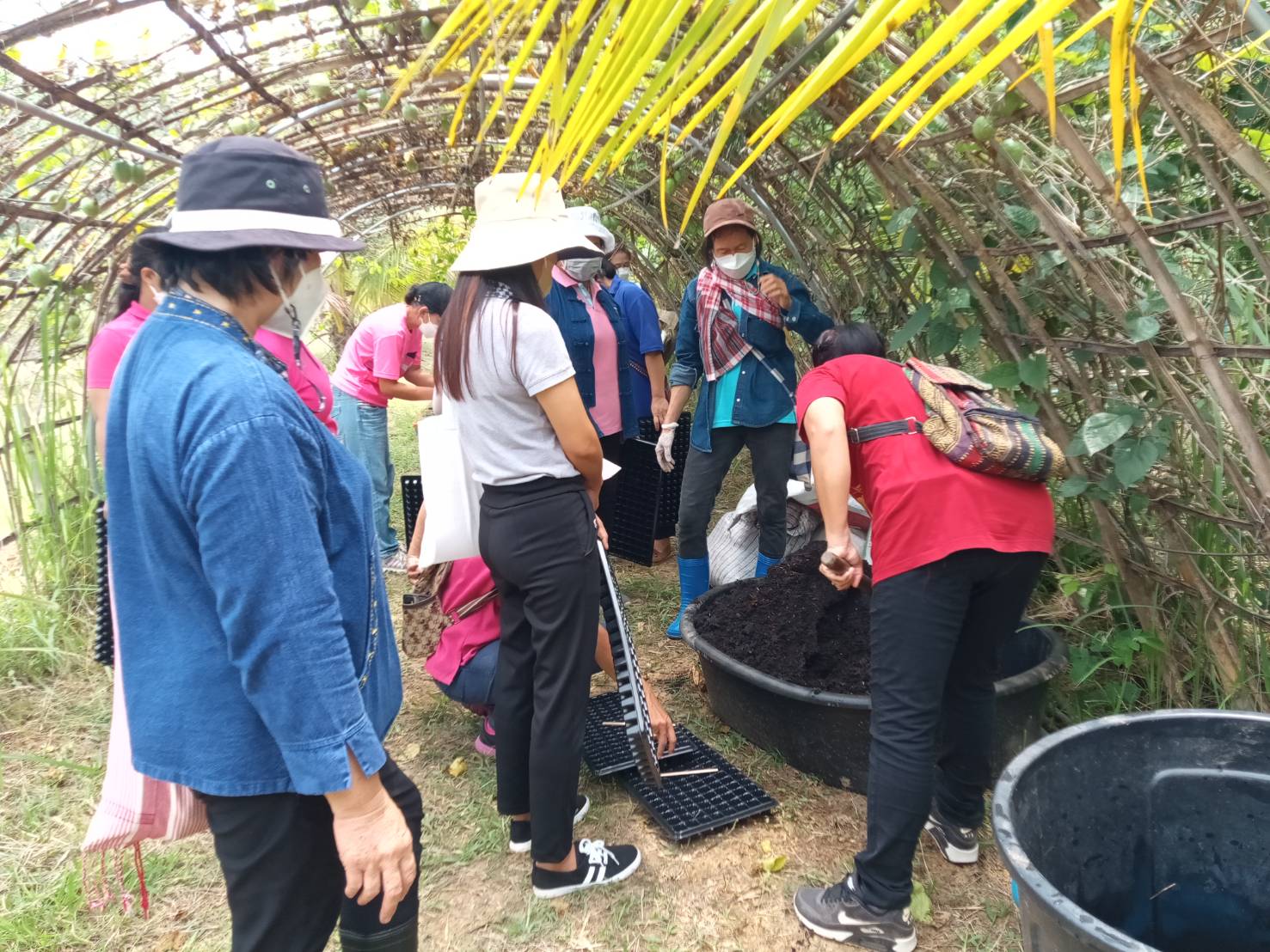 @ที่นี่เมืองน่าน@ สตรีจังหวัดน่านดำเนินโครงการธนาคารเมล็ดพันธุ์แบ่งปันรัก ปลูกพืชผักปลอดภัย