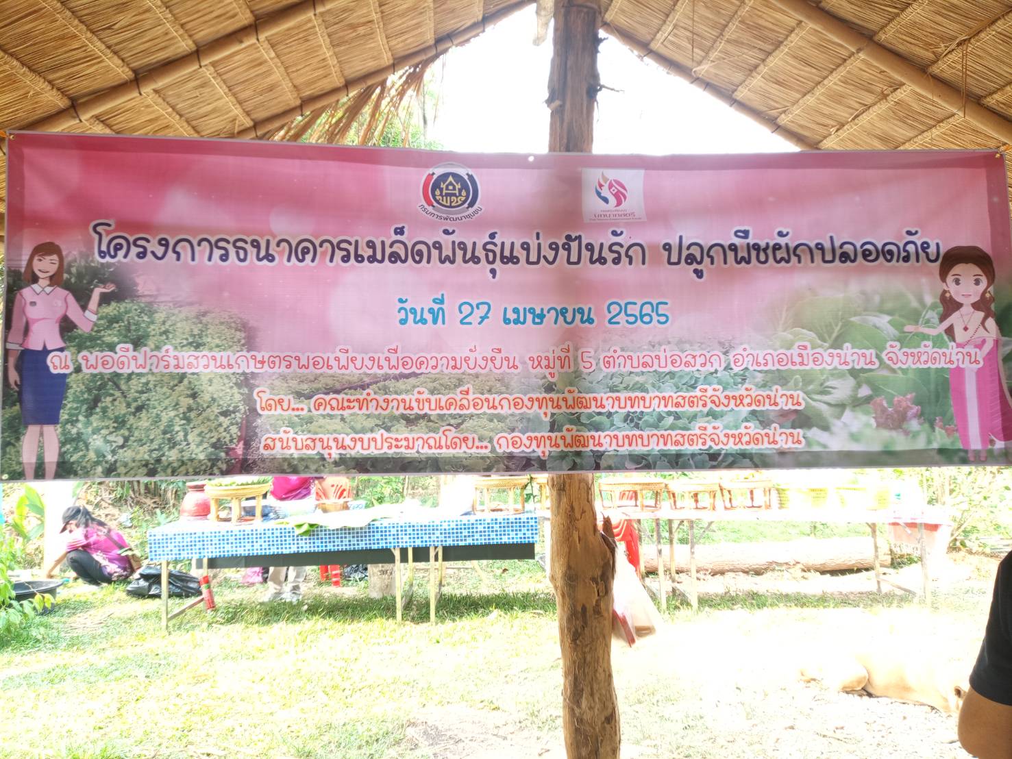 @ที่นี่เมืองน่าน@ สตรีจังหวัดน่านดำเนินโครงการธนาคารเมล็ดพันธุ์แบ่งปันรัก ปลูกพืชผักปลอดภัย