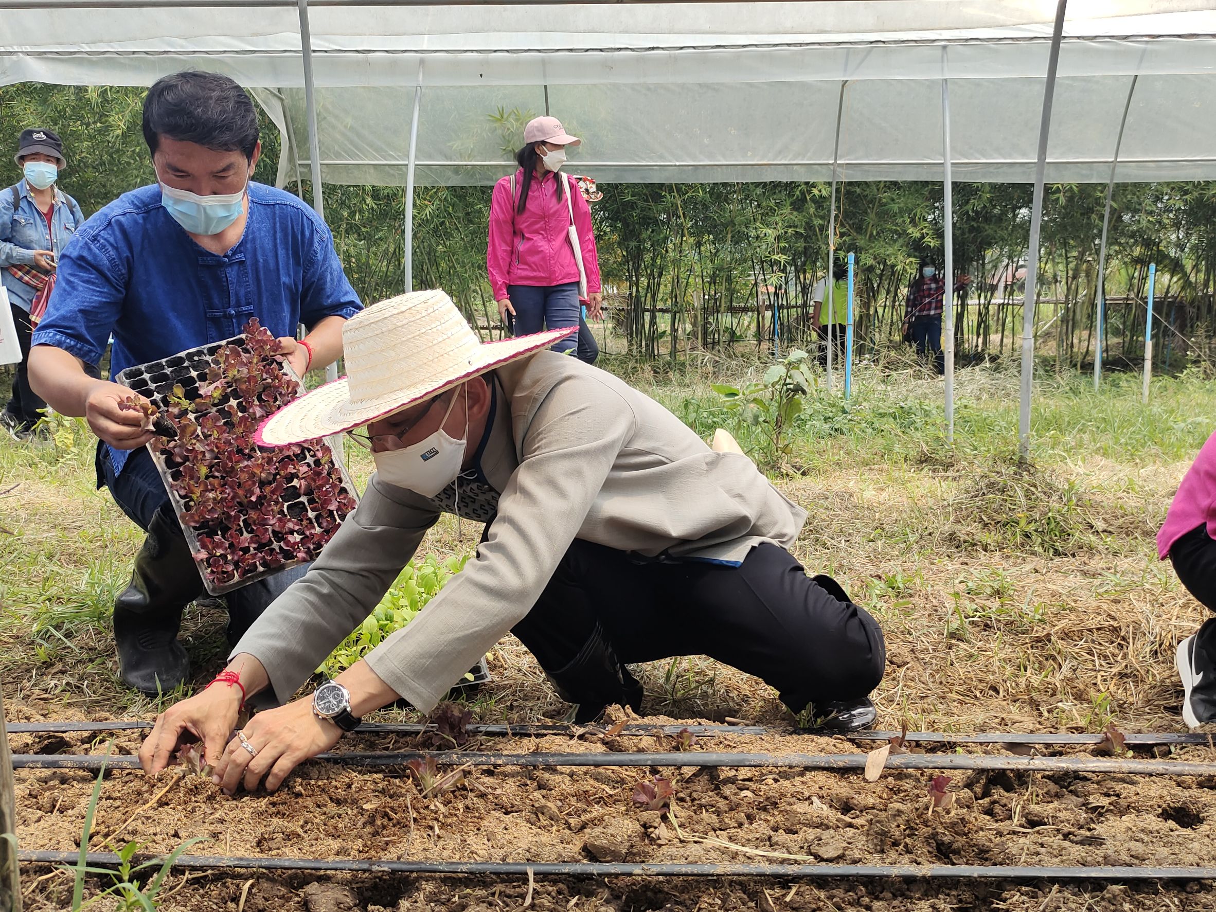 @ที่นี่เมืองน่าน@ สตรีจังหวัดน่านดำเนินโครงการธนาคารเมล็ดพันธุ์แบ่งปันรัก ปลูกพืชผักปลอดภัย