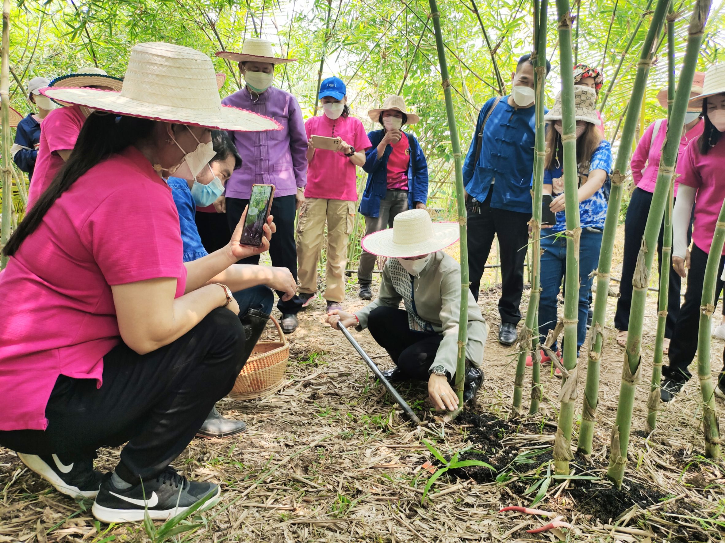 @ที่นี่เมืองน่าน@ สตรีจังหวัดน่านดำเนินโครงการธนาคารเมล็ดพันธุ์แบ่งปันรัก ปลูกพืชผักปลอดภัย