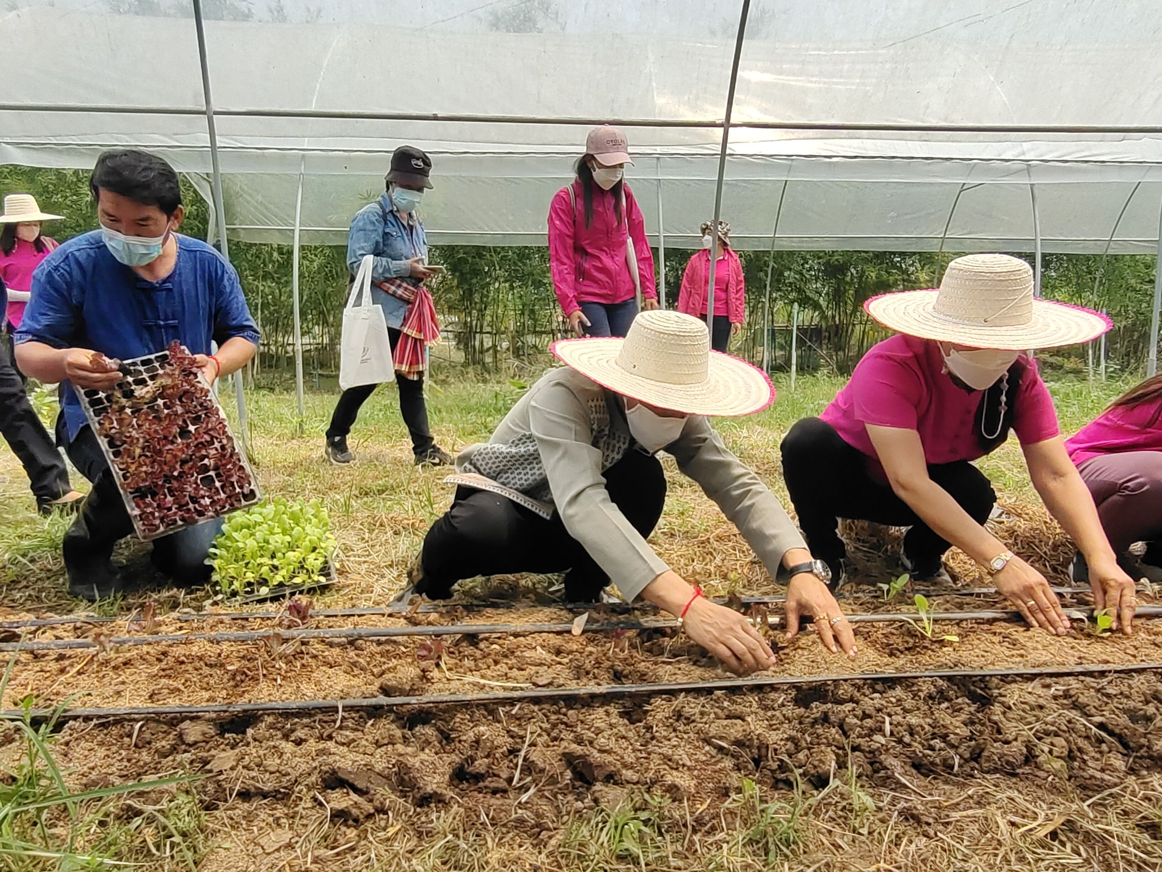 @ที่นี่เมืองน่าน@ สตรีจังหวัดน่านดำเนินโครงการธนาคารเมล็ดพันธุ์แบ่งปันรัก ปลูกพืชผักปลอดภัย