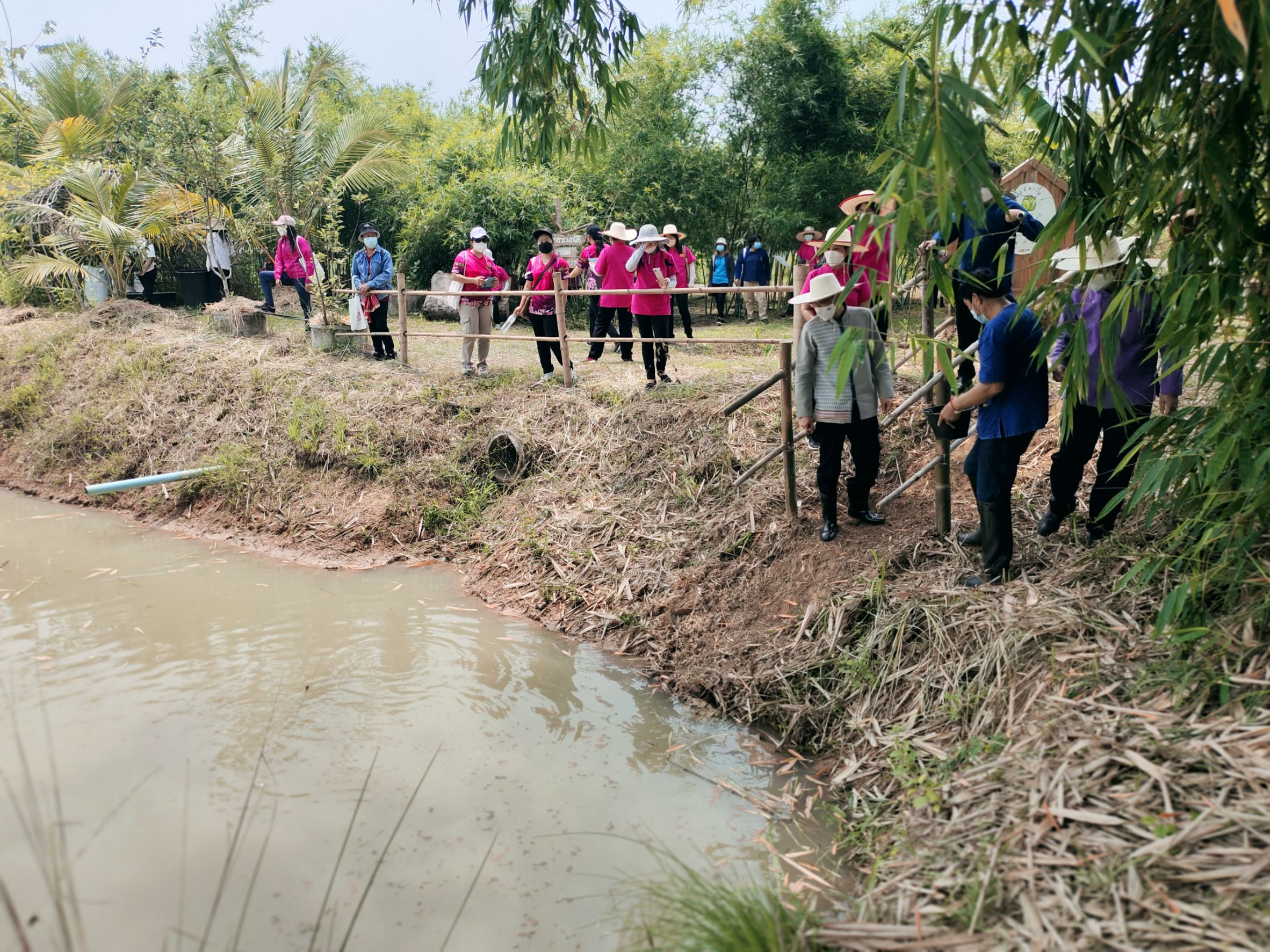 @ที่นี่เมืองน่าน@ สตรีจังหวัดน่านดำเนินโครงการธนาคารเมล็ดพันธุ์แบ่งปันรัก ปลูกพืชผักปลอดภัย