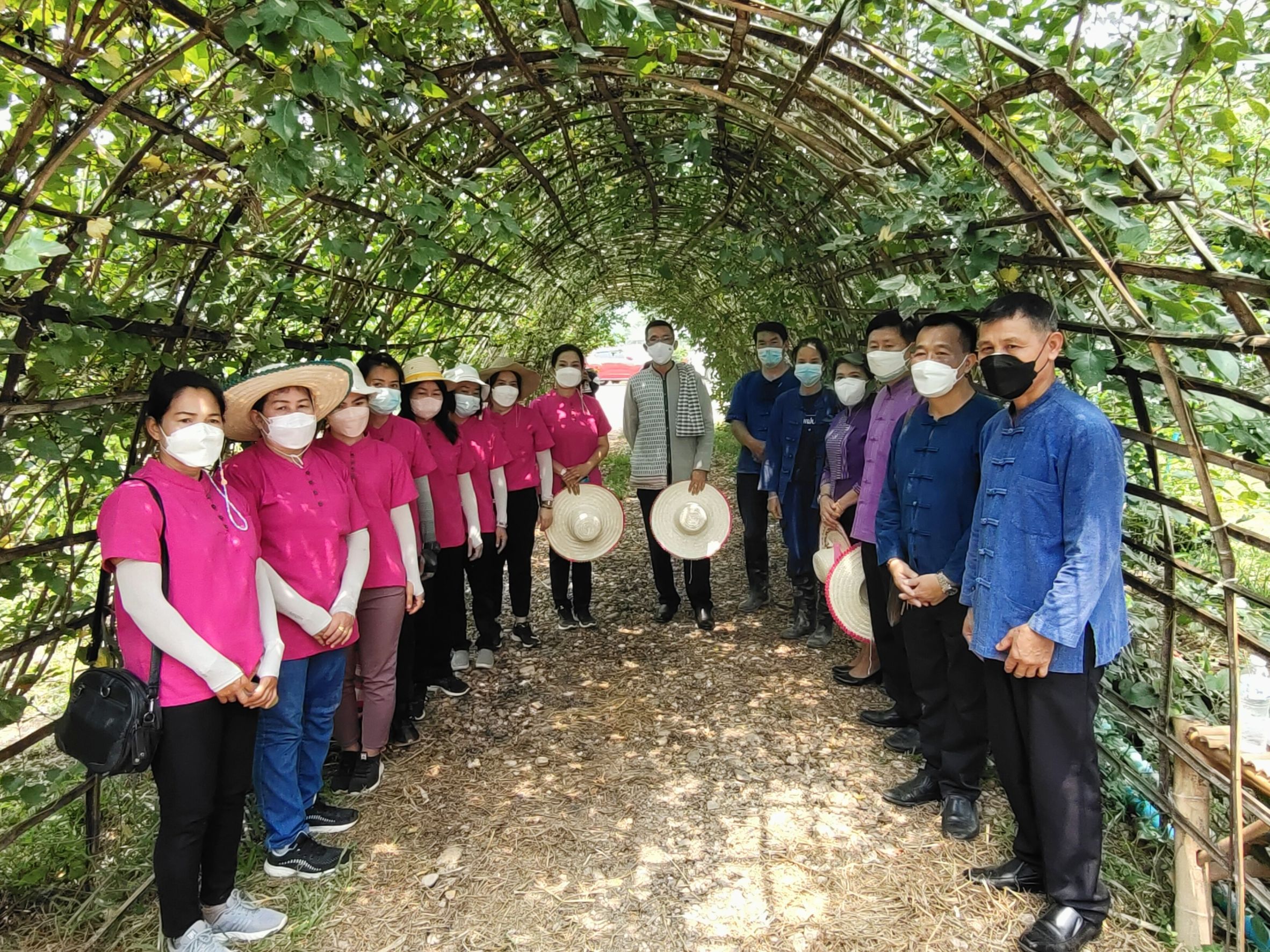 @ที่นี่เมืองน่าน@ สตรีจังหวัดน่านดำเนินโครงการธนาคารเมล็ดพันธุ์แบ่งปันรัก ปลูกพืชผักปลอดภัย