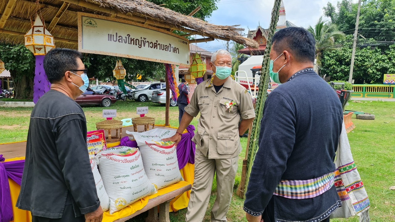 จังหวัดน่าน ดำเนินการคัดสรรกิจกรรมพัฒนาชุมชนดีเด่นระดับจังหวัด ประจำปี 2565