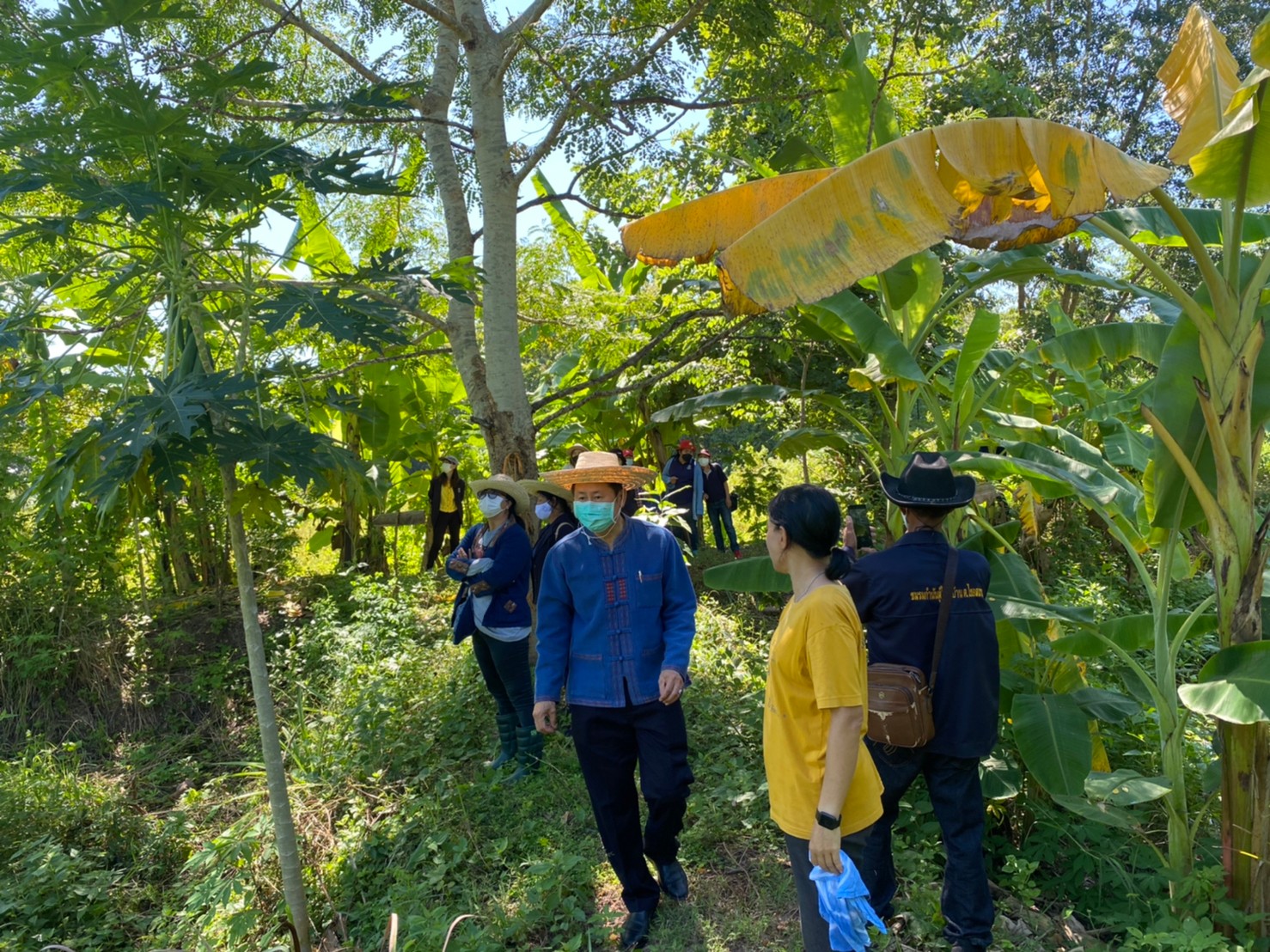 พช.น่าน ติดตามเยี่ยมชมแปลงโคกหนองนาโมเดล  ตามโครงการพัฒนาพื้นที่ต้นแบบการพัฒนาคุณภาพชีวิตตามหลักทฤษฎีใหม่ ประยุกต์สู่ “โคก หนอง นา โมเดล”