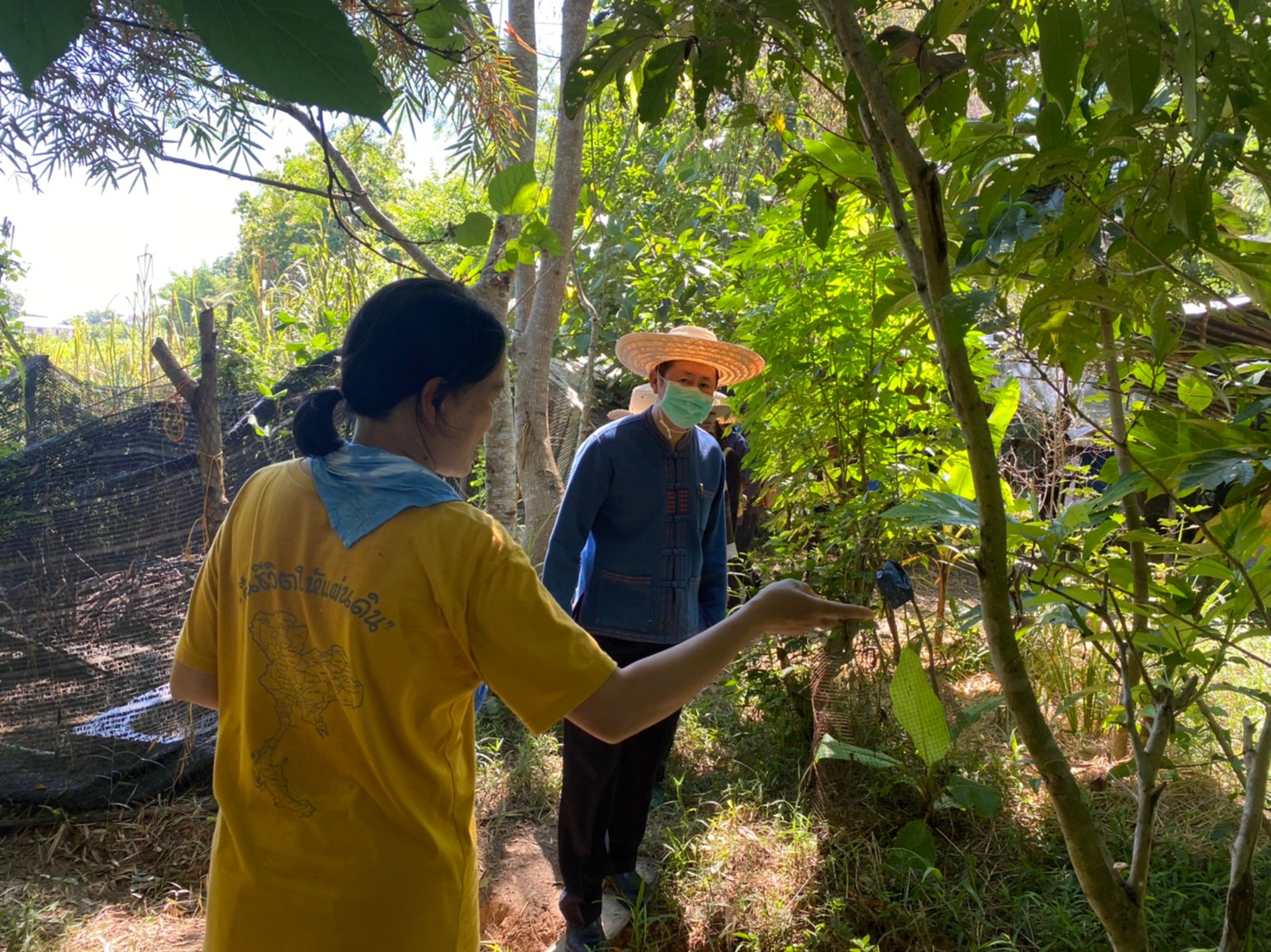 พช.น่าน ติดตามเยี่ยมชมแปลงโคกหนองนาโมเดล  ตามโครงการพัฒนาพื้นที่ต้นแบบการพัฒนาคุณภาพชีวิตตามหลักทฤษฎีใหม่ ประยุกต์สู่ “โคก หนอง นา โมเดล”