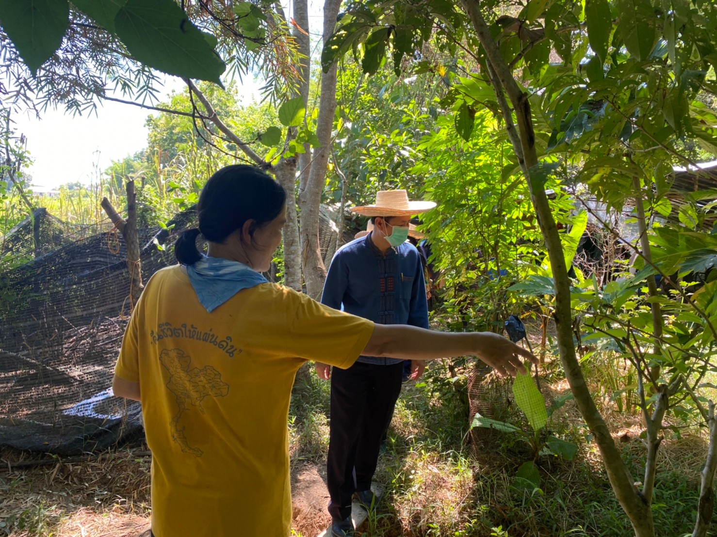 พช.น่าน ติดตามเยี่ยมชมแปลงโคกหนองนาโมเดล  ตามโครงการพัฒนาพื้นที่ต้นแบบการพัฒนาคุณภาพชีวิตตามหลักทฤษฎีใหม่ ประยุกต์สู่ “โคก หนอง นา โมเดล”