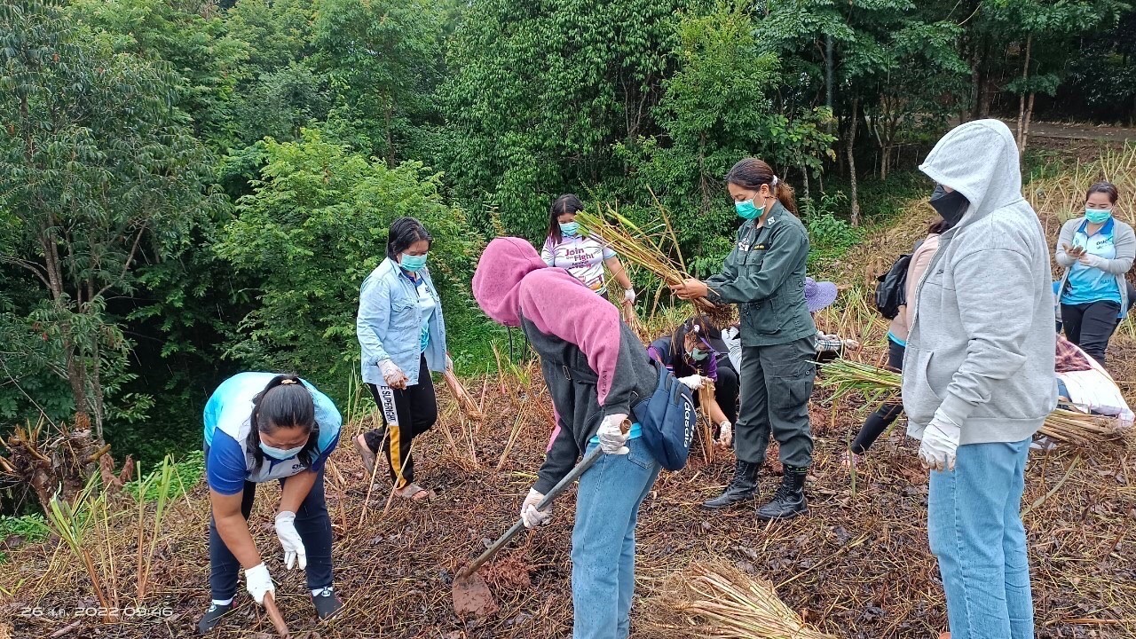 พช.น่าน จัดกิจกรรมโครงการส่งเสริมการมีส่วนร่วมของชุมชนในการขับเคลื่อนกิจกรรมตามหลักปรัชญาของเศรษฐกิจพอเพียง  วันที่ 25-26 สิงหาคม 2565 นายชำนาญ บุดาสา พัฒนาการจังหวัดน่าน พร้อมด้วยนายธงชัย ธนสถิตย์ ผู้อำนวยการกลุ่มงานยุทธศาสตร์การพัฒนาชุมชน และนักวิชาการพัฒนาชุมชนกลุ่มงานยุทธศาสตร์การพัฒนาชุมชน สำนักงานพัฒนาชุมชนจังหวัดน่าน ร่วมจัดกิจกรรมโครงการส่งเสริมการมีส่วนร่วมของชุมชนในการขับเคลื่อนกิจกรรมตามหลักปรัชญาของเศรษฐกิจพอเพียง โดยมีวัตถุประสงค์เพื่อส่งเสริมการใช้หลักปรัชญาของเศรษฐกิจพอเพียงเป็นแนวทางในการพัฒนาชุมชน ส่งเสริมและสนับสนุนการมีส่วนร่วมของชุมชนในการพัฒนาอย่างมีทิศทางที่สอดคล้องตามหลักปรัชญาของเศรษฐกิจพอเพียง  ณ บ้านสะไล หมู่ที่ 2 ตำบลบ่อเกลือเหนือ  อำเภอบ่อเกลือ จังหวัดน่าน โดยมีการดำเนินกิจกรรมดังนี้ 1. กิจกรรมประชุมเชิงปฏิบัติการมีส่วนส่วนร่วมของชุมชนในการขับเคลื่อนกิจกรรมตามหลักปรัชญาของเศรษฐกิจพอเพียง  2. เรียนรู้การปลูกและการแปรรูปผลิตภัณฑ์จากต้นตะไคร้ ณ ห้องประชุม ศศช.บ้านสะไลหลวง กลุ่มเป้าหมาย 30 คน 3. กิจกรรมปลูกต้นตะไคร้หอม ณ บริเวณสุขศาลาพระราชทาน โรงเรียนตำรวจตระเวนชายแดนเฉลิมฉลองครบรอบ 100 ปี   ภาพข่าว-กลุ่มงานยุทธศาสตร์การพัฒนาชุมชน รายงาน-กลุ่มงานสารสนเทศการพัฒนาชุมชน #CDDNAN #60ปีกรมการพัฒนาชุมชน