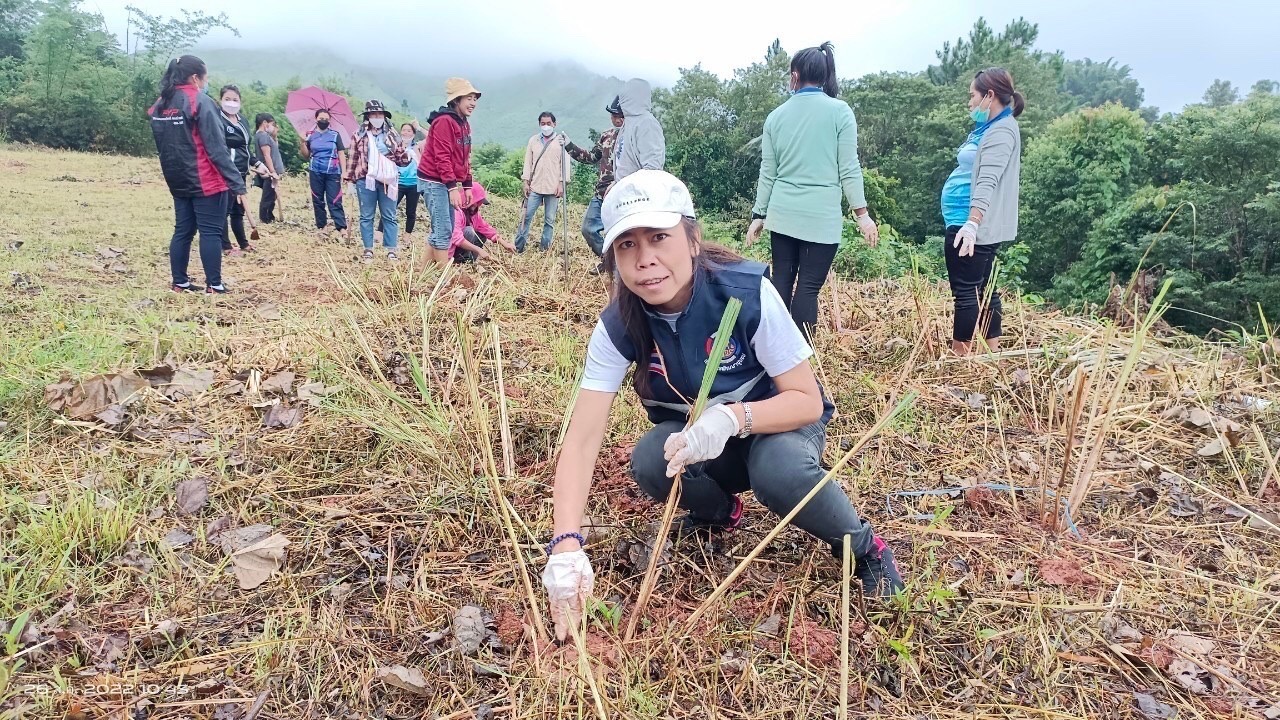 พช.น่าน จัดกิจกรรมโครงการส่งเสริมการมีส่วนร่วมของชุมชนในการขับเคลื่อนกิจกรรมตามหลักปรัชญาของเศรษฐกิจพอเพียง  วันที่ 25-26 สิงหาคม 2565 นายชำนาญ บุดาสา พัฒนาการจังหวัดน่าน พร้อมด้วยนายธงชัย ธนสถิตย์ ผู้อำนวยการกลุ่มงานยุทธศาสตร์การพัฒนาชุมชน และนักวิชาการพัฒนาชุมชนกลุ่มงานยุทธศาสตร์การพัฒนาชุมชน สำนักงานพัฒนาชุมชนจังหวัดน่าน ร่วมจัดกิจกรรมโครงการส่งเสริมการมีส่วนร่วมของชุมชนในการขับเคลื่อนกิจกรรมตามหลักปรัชญาของเศรษฐกิจพอเพียง โดยมีวัตถุประสงค์เพื่อส่งเสริมการใช้หลักปรัชญาของเศรษฐกิจพอเพียงเป็นแนวทางในการพัฒนาชุมชน ส่งเสริมและสนับสนุนการมีส่วนร่วมของชุมชนในการพัฒนาอย่างมีทิศทางที่สอดคล้องตามหลักปรัชญาของเศรษฐกิจพอเพียง  ณ บ้านสะไล หมู่ที่ 2 ตำบลบ่อเกลือเหนือ  อำเภอบ่อเกลือ จังหวัดน่าน โดยมีการดำเนินกิจกรรมดังนี้ 1. กิจกรรมประชุมเชิงปฏิบัติการมีส่วนส่วนร่วมของชุมชนในการขับเคลื่อนกิจกรรมตามหลักปรัชญาของเศรษฐกิจพอเพียง  2. เรียนรู้การปลูกและการแปรรูปผลิตภัณฑ์จากต้นตะไคร้ ณ ห้องประชุม ศศช.บ้านสะไลหลวง กลุ่มเป้าหมาย 30 คน 3. กิจกรรมปลูกต้นตะไคร้หอม ณ บริเวณสุขศาลาพระราชทาน โรงเรียนตำรวจตระเวนชายแดนเฉลิมฉลองครบรอบ 100 ปี   ภาพข่าว-กลุ่มงานยุทธศาสตร์การพัฒนาชุมชน รายงาน-กลุ่มงานสารสนเทศการพัฒนาชุมชน #CDDNAN #60ปีกรมการพัฒนาชุมชน