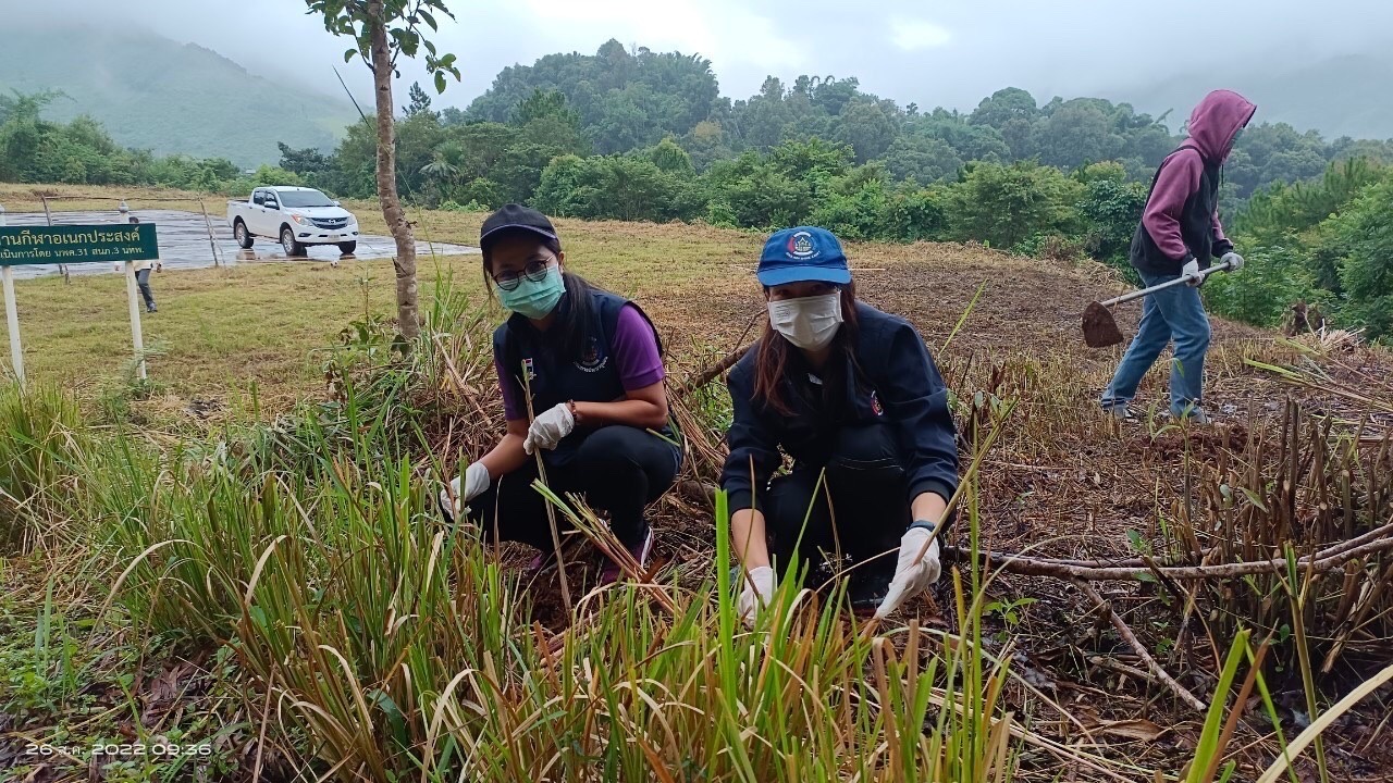 พช.น่าน จัดกิจกรรมโครงการส่งเสริมการมีส่วนร่วมของชุมชนในการขับเคลื่อนกิจกรรมตามหลักปรัชญาของเศรษฐกิจพอเพียง  วันที่ 25-26 สิงหาคม 2565 นายชำนาญ บุดาสา พัฒนาการจังหวัดน่าน พร้อมด้วยนายธงชัย ธนสถิตย์ ผู้อำนวยการกลุ่มงานยุทธศาสตร์การพัฒนาชุมชน และนักวิชาการพัฒนาชุมชนกลุ่มงานยุทธศาสตร์การพัฒนาชุมชน สำนักงานพัฒนาชุมชนจังหวัดน่าน ร่วมจัดกิจกรรมโครงการส่งเสริมการมีส่วนร่วมของชุมชนในการขับเคลื่อนกิจกรรมตามหลักปรัชญาของเศรษฐกิจพอเพียง โดยมีวัตถุประสงค์เพื่อส่งเสริมการใช้หลักปรัชญาของเศรษฐกิจพอเพียงเป็นแนวทางในการพัฒนาชุมชน ส่งเสริมและสนับสนุนการมีส่วนร่วมของชุมชนในการพัฒนาอย่างมีทิศทางที่สอดคล้องตามหลักปรัชญาของเศรษฐกิจพอเพียง  ณ บ้านสะไล หมู่ที่ 2 ตำบลบ่อเกลือเหนือ  อำเภอบ่อเกลือ จังหวัดน่าน โดยมีการดำเนินกิจกรรมดังนี้ 1. กิจกรรมประชุมเชิงปฏิบัติการมีส่วนส่วนร่วมของชุมชนในการขับเคลื่อนกิจกรรมตามหลักปรัชญาของเศรษฐกิจพอเพียง  2. เรียนรู้การปลูกและการแปรรูปผลิตภัณฑ์จากต้นตะไคร้ ณ ห้องประชุม ศศช.บ้านสะไลหลวง กลุ่มเป้าหมาย 30 คน 3. กิจกรรมปลูกต้นตะไคร้หอม ณ บริเวณสุขศาลาพระราชทาน โรงเรียนตำรวจตระเวนชายแดนเฉลิมฉลองครบรอบ 100 ปี   ภาพข่าว-กลุ่มงานยุทธศาสตร์การพัฒนาชุมชน รายงาน-กลุ่มงานสารสนเทศการพัฒนาชุมชน #CDDNAN #60ปีกรมการพัฒนาชุมชน