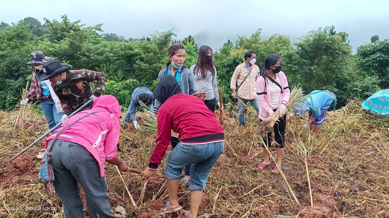 พช.น่าน จัดกิจกรรมโครงการส่งเสริมการมีส่วนร่วมของชุมชนในการขับเคลื่อนกิจกรรมตามหลักปรัชญาของเศรษฐกิจพอเพียง  วันที่ 25-26 สิงหาคม 2565 นายชำนาญ บุดาสา พัฒนาการจังหวัดน่าน พร้อมด้วยนายธงชัย ธนสถิตย์ ผู้อำนวยการกลุ่มงานยุทธศาสตร์การพัฒนาชุมชน และนักวิชาการพัฒนาชุมชนกลุ่มงานยุทธศาสตร์การพัฒนาชุมชน สำนักงานพัฒนาชุมชนจังหวัดน่าน ร่วมจัดกิจกรรมโครงการส่งเสริมการมีส่วนร่วมของชุมชนในการขับเคลื่อนกิจกรรมตามหลักปรัชญาของเศรษฐกิจพอเพียง โดยมีวัตถุประสงค์เพื่อส่งเสริมการใช้หลักปรัชญาของเศรษฐกิจพอเพียงเป็นแนวทางในการพัฒนาชุมชน ส่งเสริมและสนับสนุนการมีส่วนร่วมของชุมชนในการพัฒนาอย่างมีทิศทางที่สอดคล้องตามหลักปรัชญาของเศรษฐกิจพอเพียง  ณ บ้านสะไล หมู่ที่ 2 ตำบลบ่อเกลือเหนือ  อำเภอบ่อเกลือ จังหวัดน่าน โดยมีการดำเนินกิจกรรมดังนี้ 1. กิจกรรมประชุมเชิงปฏิบัติการมีส่วนส่วนร่วมของชุมชนในการขับเคลื่อนกิจกรรมตามหลักปรัชญาของเศรษฐกิจพอเพียง  2. เรียนรู้การปลูกและการแปรรูปผลิตภัณฑ์จากต้นตะไคร้ ณ ห้องประชุม ศศช.บ้านสะไลหลวง กลุ่มเป้าหมาย 30 คน 3. กิจกรรมปลูกต้นตะไคร้หอม ณ บริเวณสุขศาลาพระราชทาน โรงเรียนตำรวจตระเวนชายแดนเฉลิมฉลองครบรอบ 100 ปี   ภาพข่าว-กลุ่มงานยุทธศาสตร์การพัฒนาชุมชน รายงาน-กลุ่มงานสารสนเทศการพัฒนาชุมชน #CDDNAN #60ปีกรมการพัฒนาชุมชน