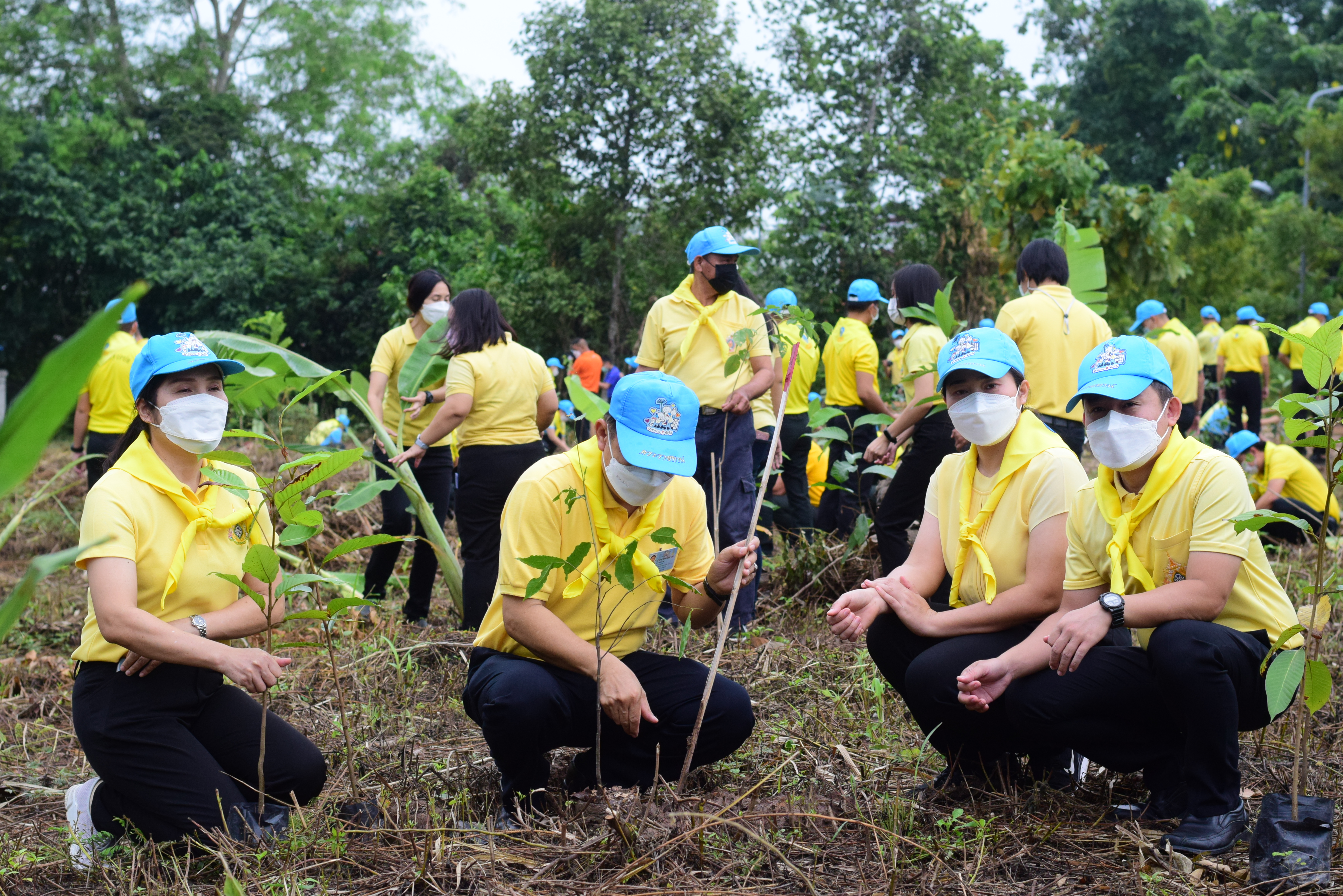 จังหวัดน่าน เปิดกิจกรรมจิตอาสาเราทำความดีด้วยหัวใจ ปลูกป่า 3 อย่าง ประโยชน์ 4 อย่าง 1 ล้านไร่ เพื่อน้อมรำลึกถึงพระมหากรุณาธิคุณ ของ พระบาทสมเด็จพระบรมชนกาธิเบศร มหาภูมิพลอดุลยเดชมหาราช บรมนาถบพิตร