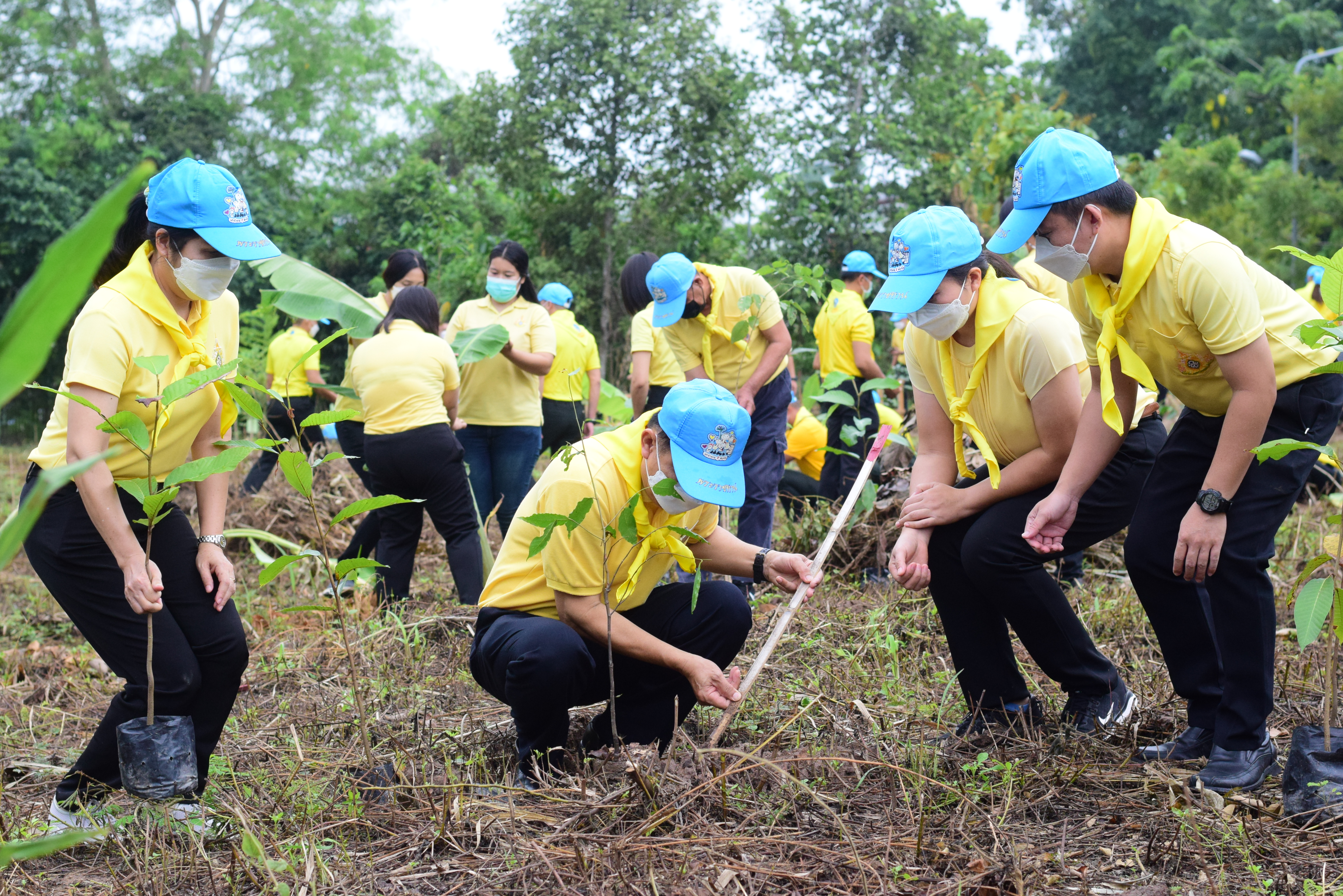จังหวัดน่าน เปิดกิจกรรมจิตอาสาเราทำความดีด้วยหัวใจ ปลูกป่า 3 อย่าง ประโยชน์ 4 อย่าง 1 ล้านไร่ เพื่อน้อมรำลึกถึงพระมหากรุณาธิคุณ ของ พระบาทสมเด็จพระบรมชนกาธิเบศร มหาภูมิพลอดุลยเดชมหาราช บรมนาถบพิตร