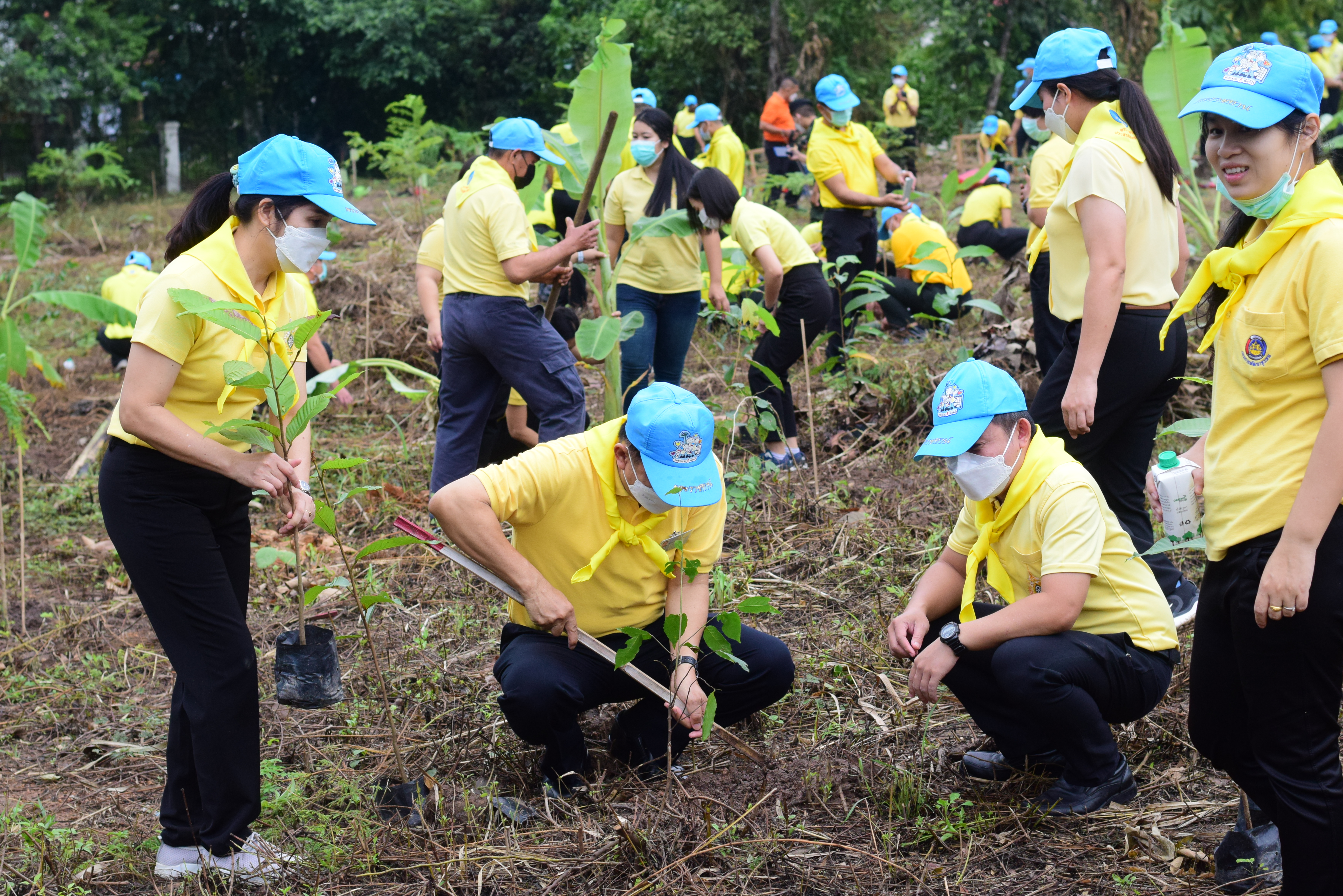 จังหวัดน่าน เปิดกิจกรรมจิตอาสาเราทำความดีด้วยหัวใจ ปลูกป่า 3 อย่าง ประโยชน์ 4 อย่าง 1 ล้านไร่ เพื่อน้อมรำลึกถึงพระมหากรุณาธิคุณ ของ พระบาทสมเด็จพระบรมชนกาธิเบศร มหาภูมิพลอดุลยเดชมหาราช บรมนาถบพิตร