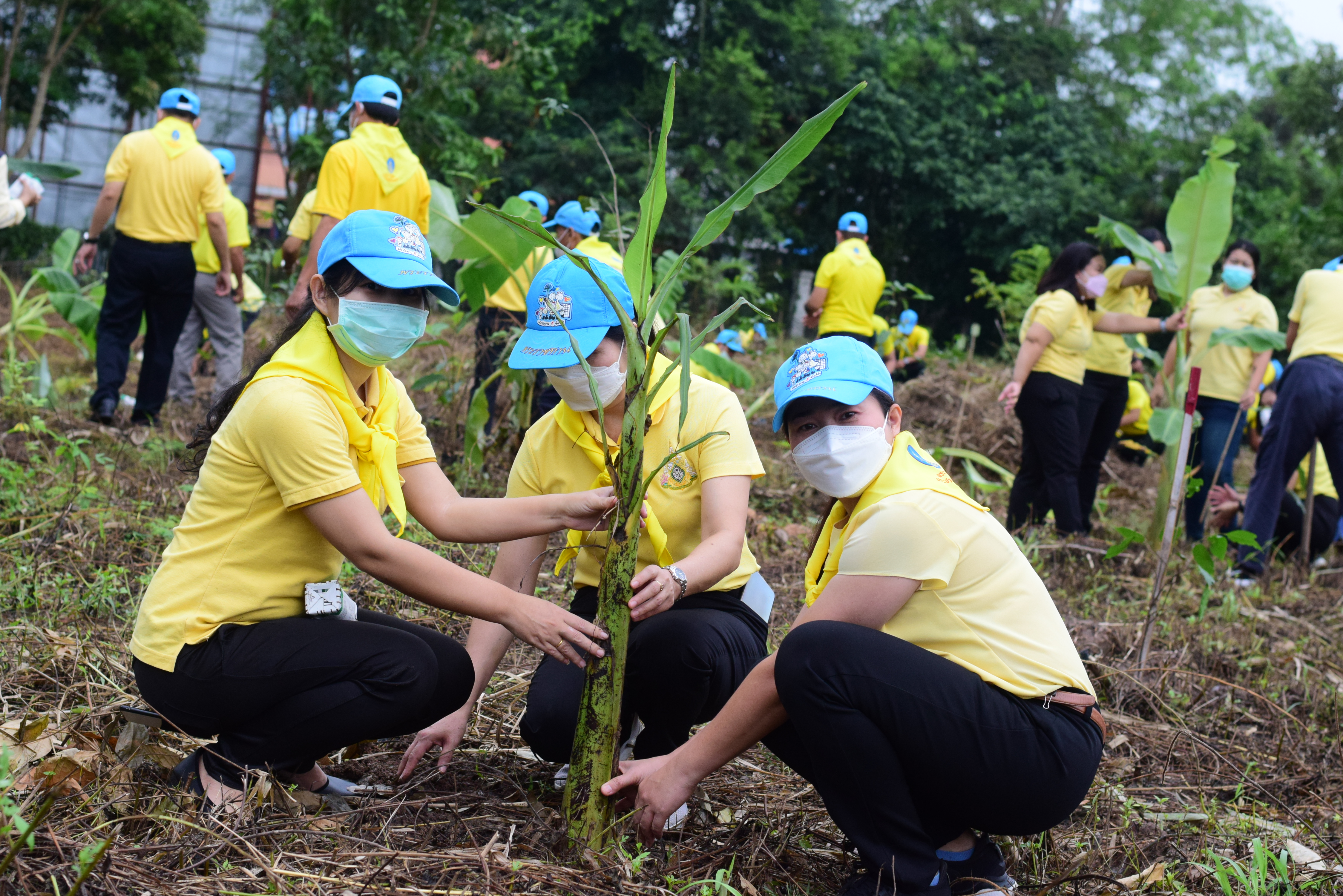 จังหวัดน่าน เปิดกิจกรรมจิตอาสาเราทำความดีด้วยหัวใจ ปลูกป่า 3 อย่าง ประโยชน์ 4 อย่าง 1 ล้านไร่ เพื่อน้อมรำลึกถึงพระมหากรุณาธิคุณ ของ พระบาทสมเด็จพระบรมชนกาธิเบศร มหาภูมิพลอดุลยเดชมหาราช บรมนาถบพิตร