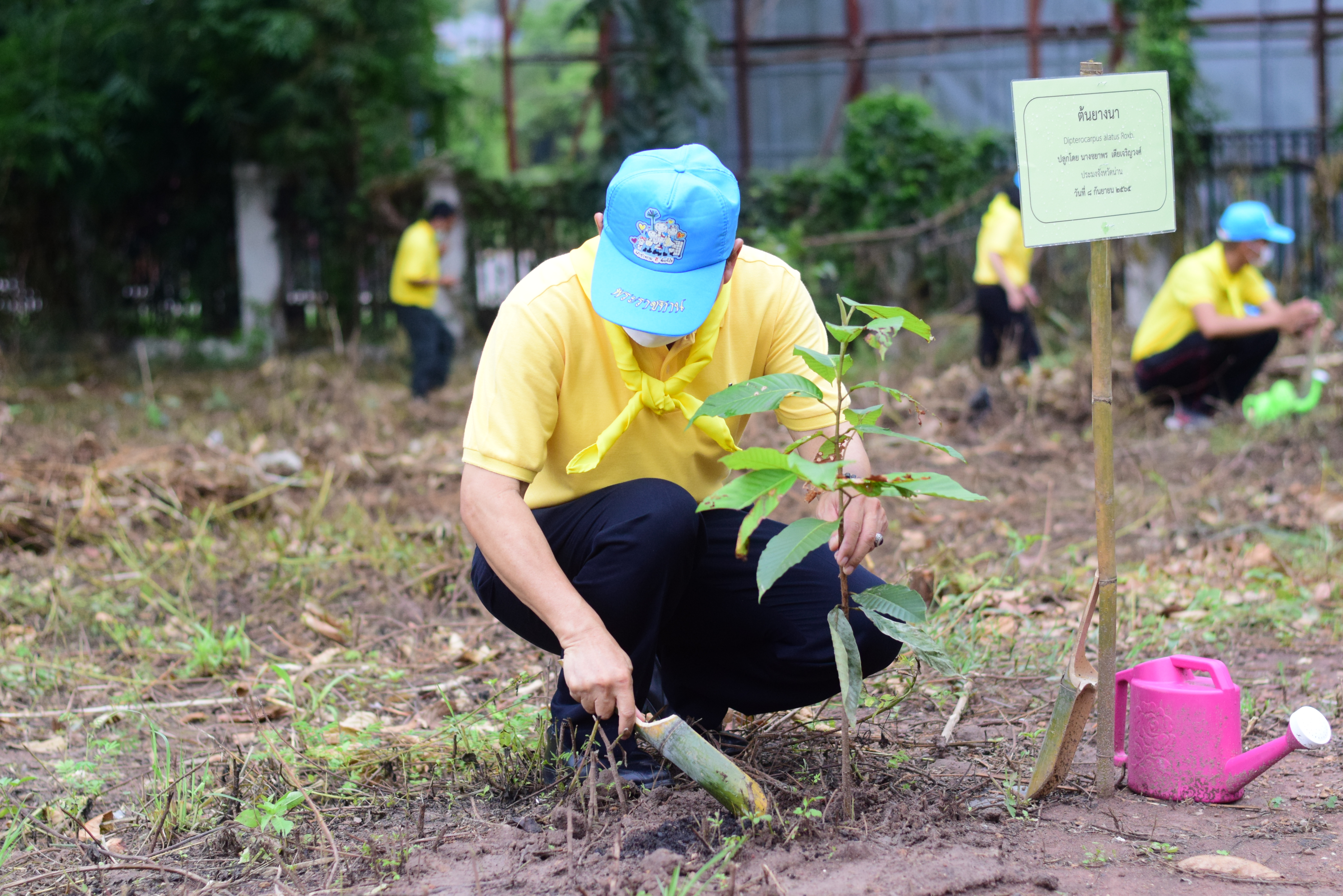 จังหวัดน่าน เปิดกิจกรรมจิตอาสาเราทำความดีด้วยหัวใจ ปลูกป่า 3 อย่าง ประโยชน์ 4 อย่าง 1 ล้านไร่ เพื่อน้อมรำลึกถึงพระมหากรุณาธิคุณ ของ พระบาทสมเด็จพระบรมชนกาธิเบศร มหาภูมิพลอดุลยเดชมหาราช บรมนาถบพิตร