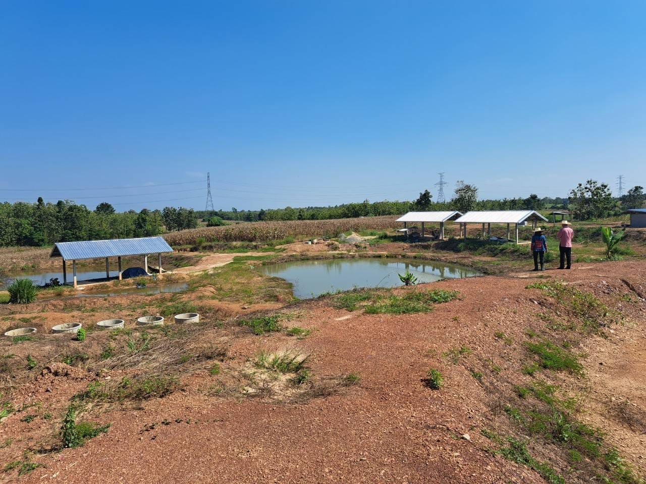 # พช.น่าน# พัฒนาการจังหวัดน่าน ติดตามเยี่ยมเยือน ครัวเรือนที่เข้าร่วมโครงการพัฒนาพื้นที่ต้นแบบการพัฒนาคุณภาพชีวิตตามหลักทฤษฎีใหม่ประยุกต์สู่ โคก หนอง นา โมเดล “อำเภอเวียงสา