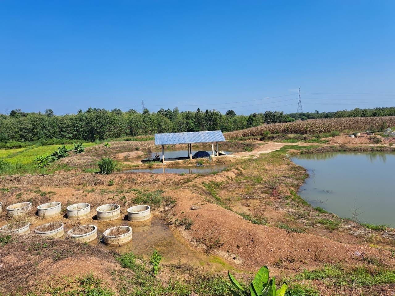 # พช.น่าน# พัฒนาการจังหวัดน่าน ติดตามเยี่ยมเยือน ครัวเรือนที่เข้าร่วมโครงการพัฒนาพื้นที่ต้นแบบการพัฒนาคุณภาพชีวิตตามหลักทฤษฎีใหม่ประยุกต์สู่ โคก หนอง นา โมเดล “อำเภอเวียงสา