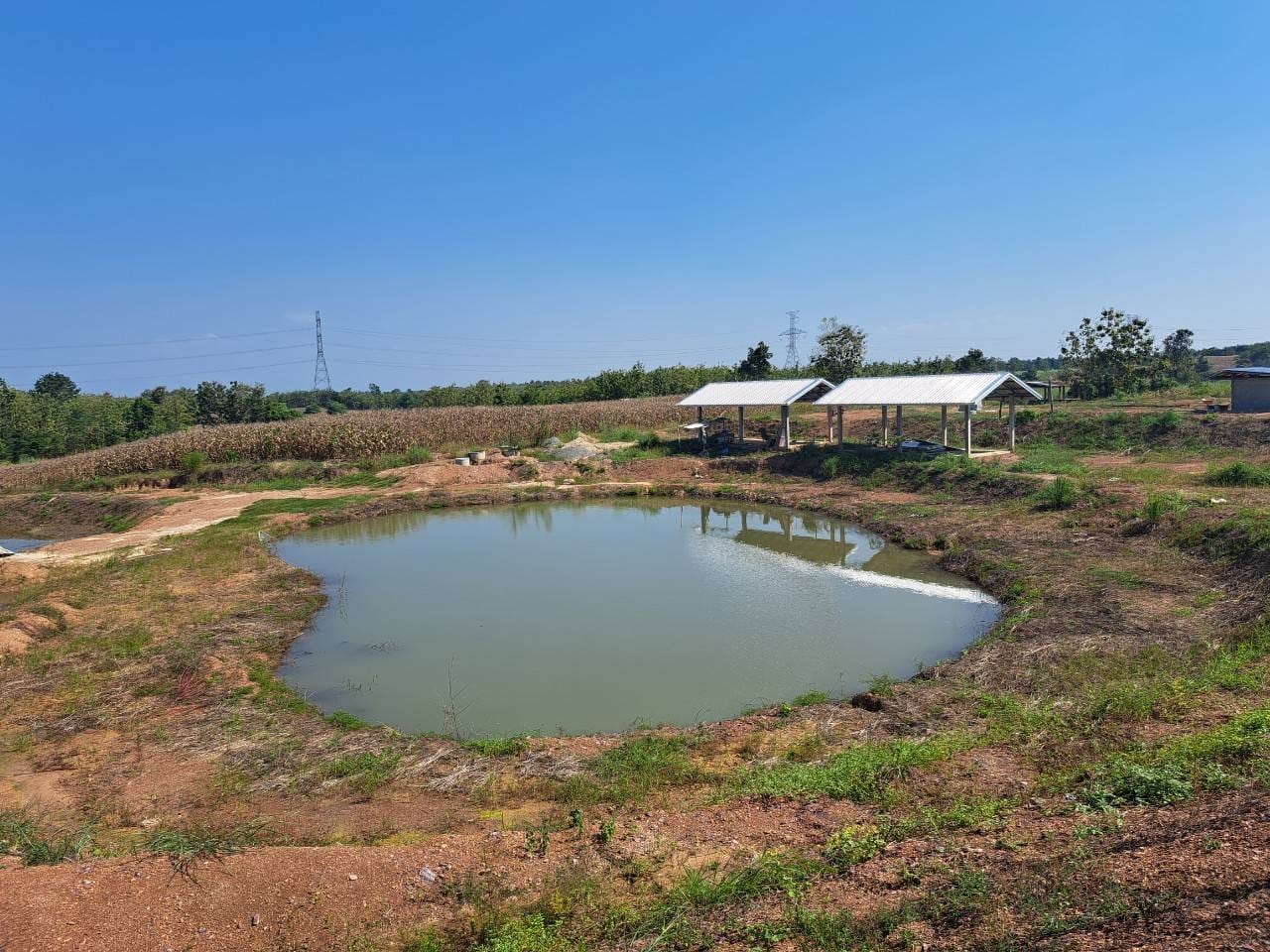 # พช.น่าน# พัฒนาการจังหวัดน่าน ติดตามเยี่ยมเยือน ครัวเรือนที่เข้าร่วมโครงการพัฒนาพื้นที่ต้นแบบการพัฒนาคุณภาพชีวิตตามหลักทฤษฎีใหม่ประยุกต์สู่ โคก หนอง นา โมเดล “อำเภอเวียงสา