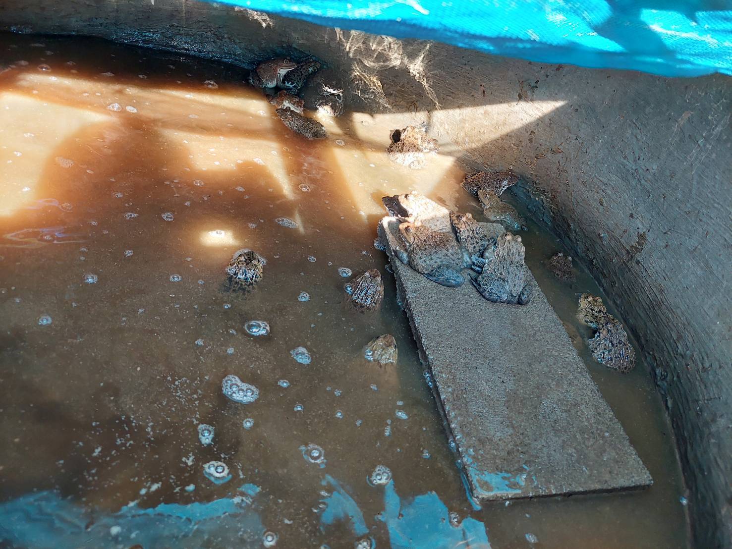 นายอาทร พิมชะนก ผู้ตรวจราชการกรมการพัฒนาชุมชน ลงพื้นที่แปลงศูนย์เรียนรู้ต้นแบบ “โคก หนอง นา พัฒนาชุมชน” ระดับ CLM จังหวัดน่าน เพื่อสนับสนุนงานต่อเนื่อง ในการพัฒนาศูนย์เรียนรู้ตามหลักปรัชญาของเศรษฐกิจพอเพียง