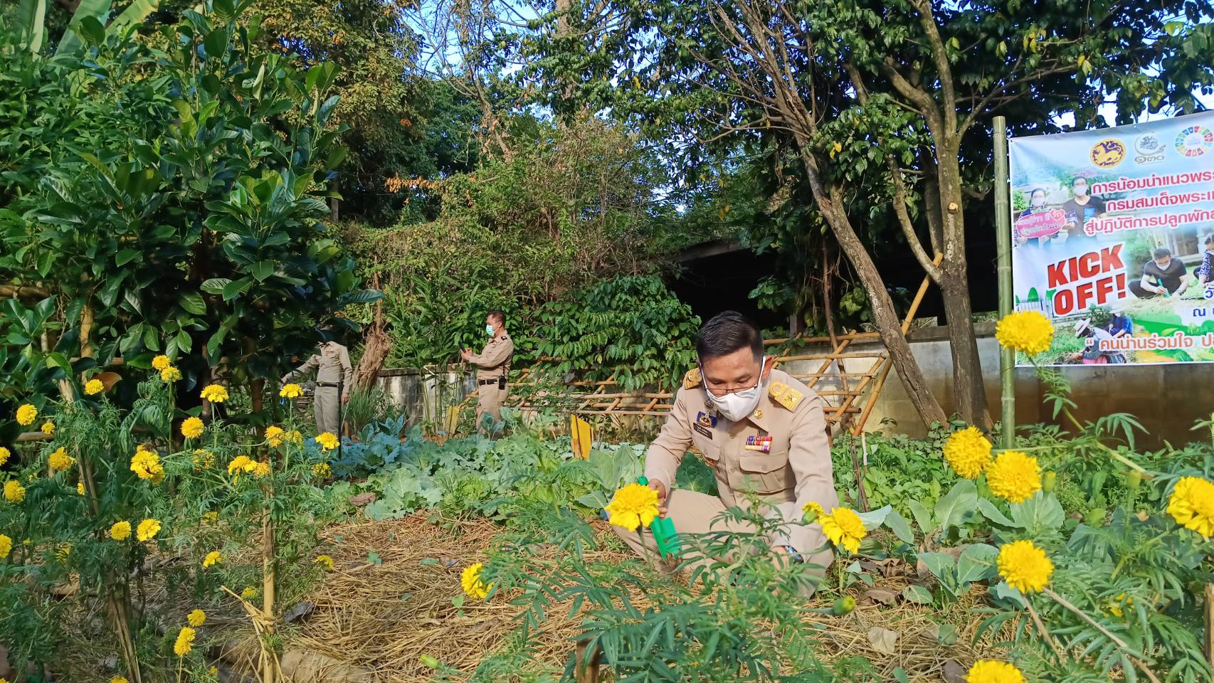 ผู้ว่าราชการจังหวัดน่านปลุกพลังทั้งภาครัฐและภาคประชาชน น้อมนำแนวพระราชดำริของสมเด็จพระกนิษฐาธิราชเจ้า กรมสมเด็จพระเทพรัตนราชสุดาฯ สยามบรมราชกุมารี สู่ปฏิบัติการปลูกผักสวนครัว เพื่อสร้างความมั่นคงทางอาหารต่อเนื่อง