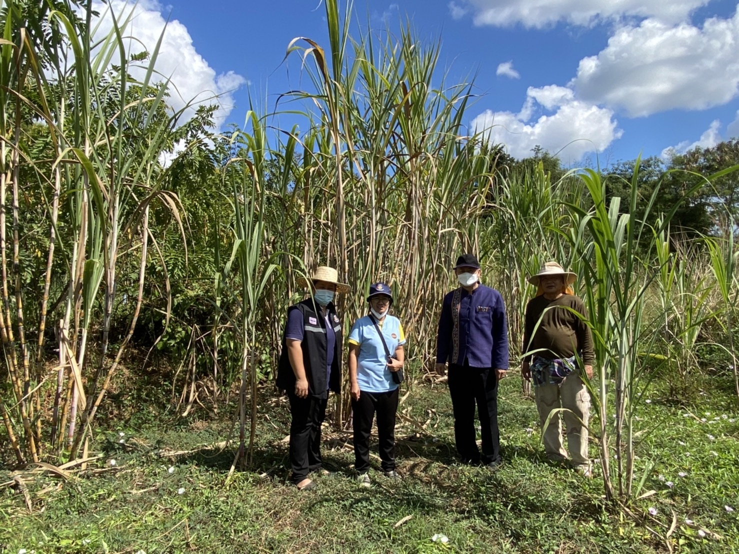 พจ.น่าน ลงพื้นที่ติดตามการดำเนินงาน โคก หนอง นาโมเดล อำเภอนาหมื่น จังหวัดน่าน