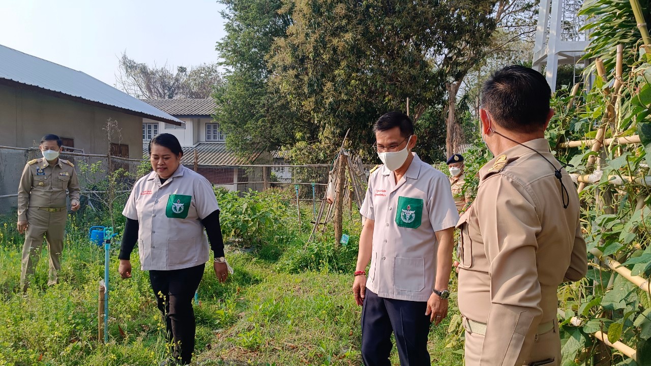พช.น่าน : ผู้ว่าราชการจังหวัดน่าน เยี่ยมแปลงปลูกผักสวนครัวเพื่อสร้างความมั่นคงทางอาหารอำเภอสันติสุข จังหวัดน่าน