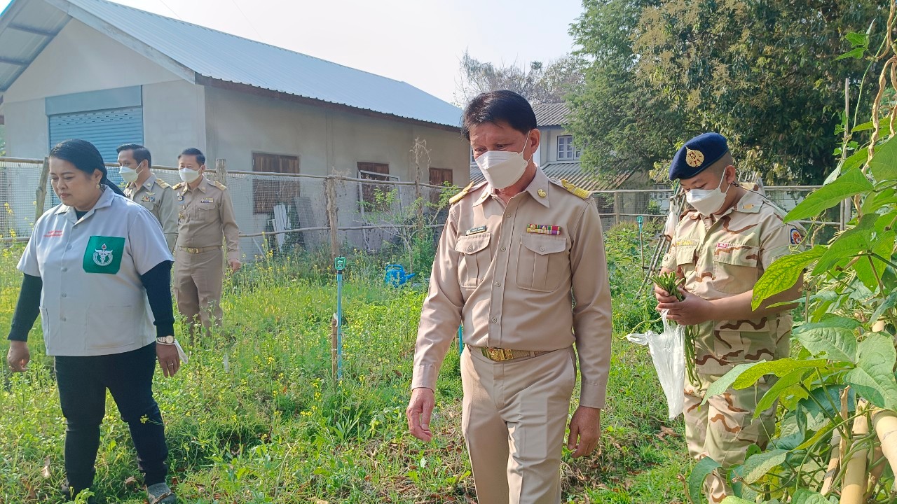 พช.น่าน : ผู้ว่าราชการจังหวัดน่าน เยี่ยมแปลงปลูกผักสวนครัวเพื่อสร้างความมั่นคงทางอาหารอำเภอสันติสุข จังหวัดน่าน