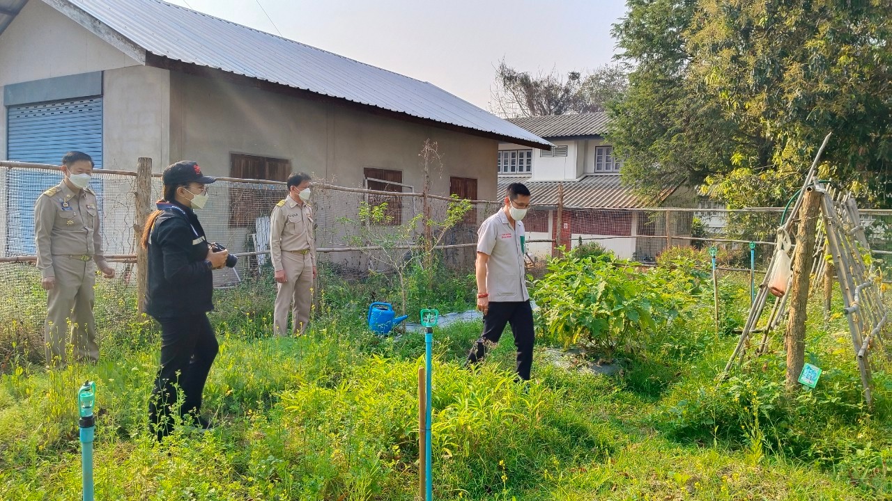 พช.น่าน : ผู้ว่าราชการจังหวัดน่าน เยี่ยมแปลงปลูกผักสวนครัวเพื่อสร้างความมั่นคงทางอาหารอำเภอสันติสุข จังหวัดน่าน