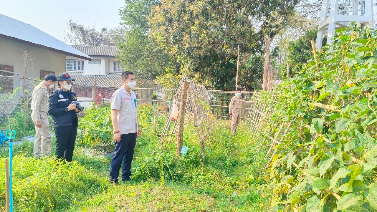 พช.น่าน : ผู้ว่าราชการจังหวัดน่าน เยี่ยมแปลงปลูกผักสวนครัวเพื่อสร้างความมั่นคงทางอาหารอำเภอสันติสุข จังหวัดน่าน