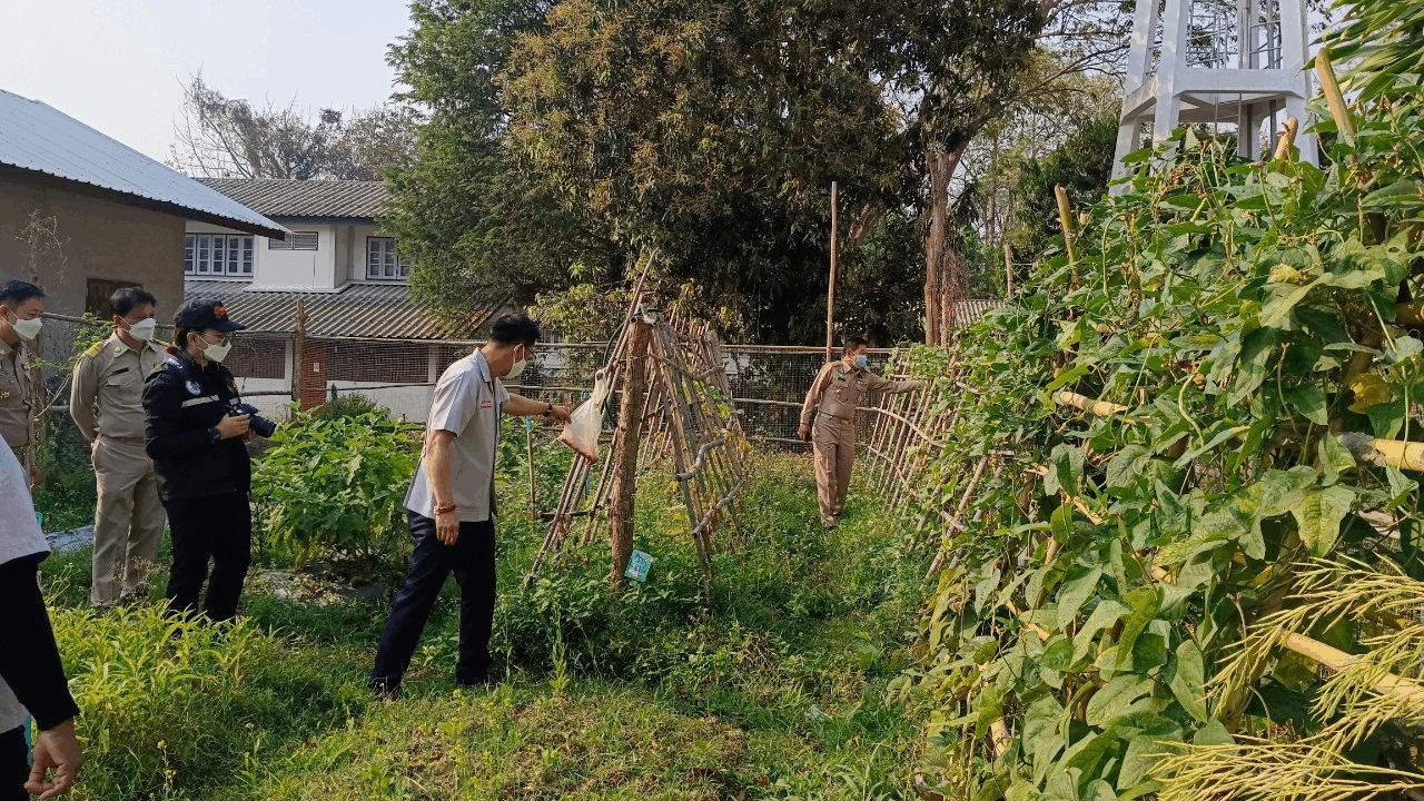 พช.น่าน : ผู้ว่าราชการจังหวัดน่าน เยี่ยมแปลงปลูกผักสวนครัวเพื่อสร้างความมั่นคงทางอาหารอำเภอสันติสุข จังหวัดน่าน