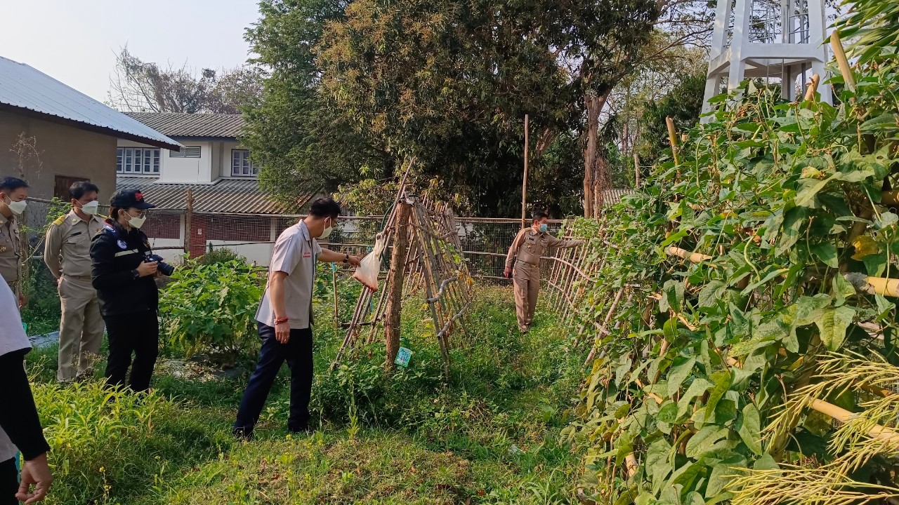 พช.น่าน : ผู้ว่าราชการจังหวัดน่าน เยี่ยมแปลงปลูกผักสวนครัวเพื่อสร้างความมั่นคงทางอาหารอำเภอสันติสุข จังหวัดน่าน