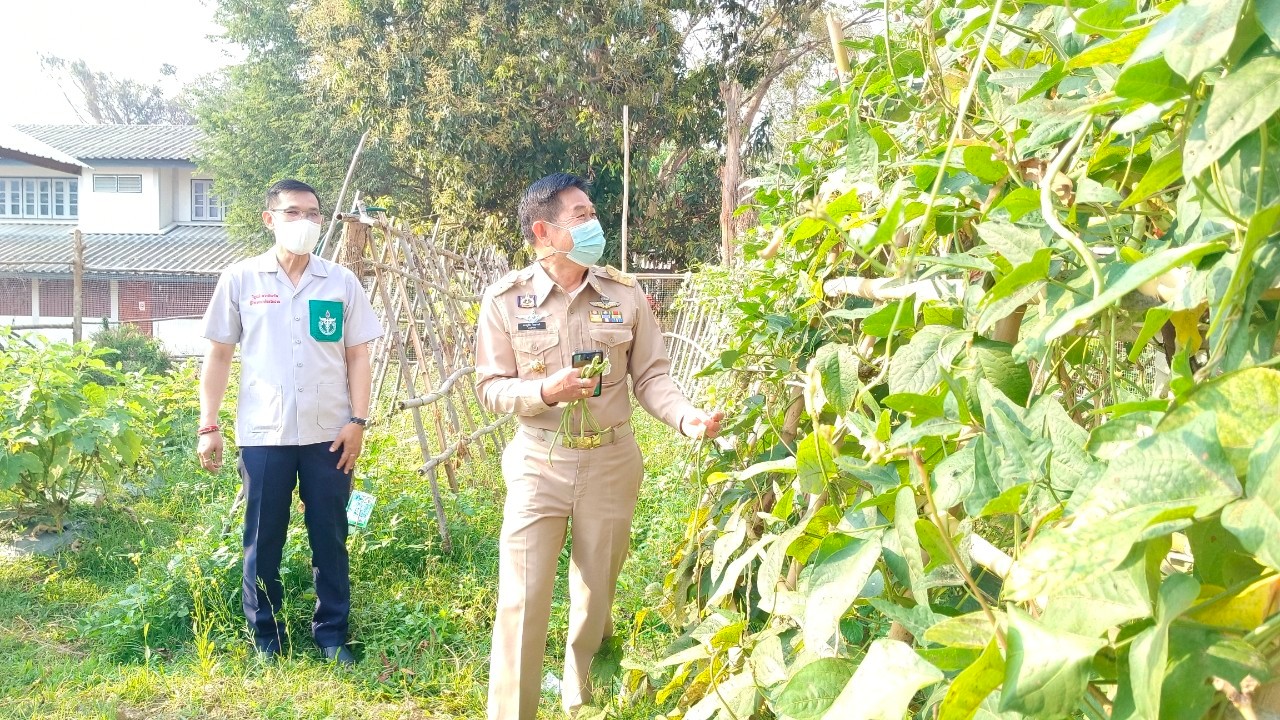 พช.น่าน : ผู้ว่าราชการจังหวัดน่าน เยี่ยมแปลงปลูกผักสวนครัวเพื่อสร้างความมั่นคงทางอาหารอำเภอสันติสุข จังหวัดน่าน