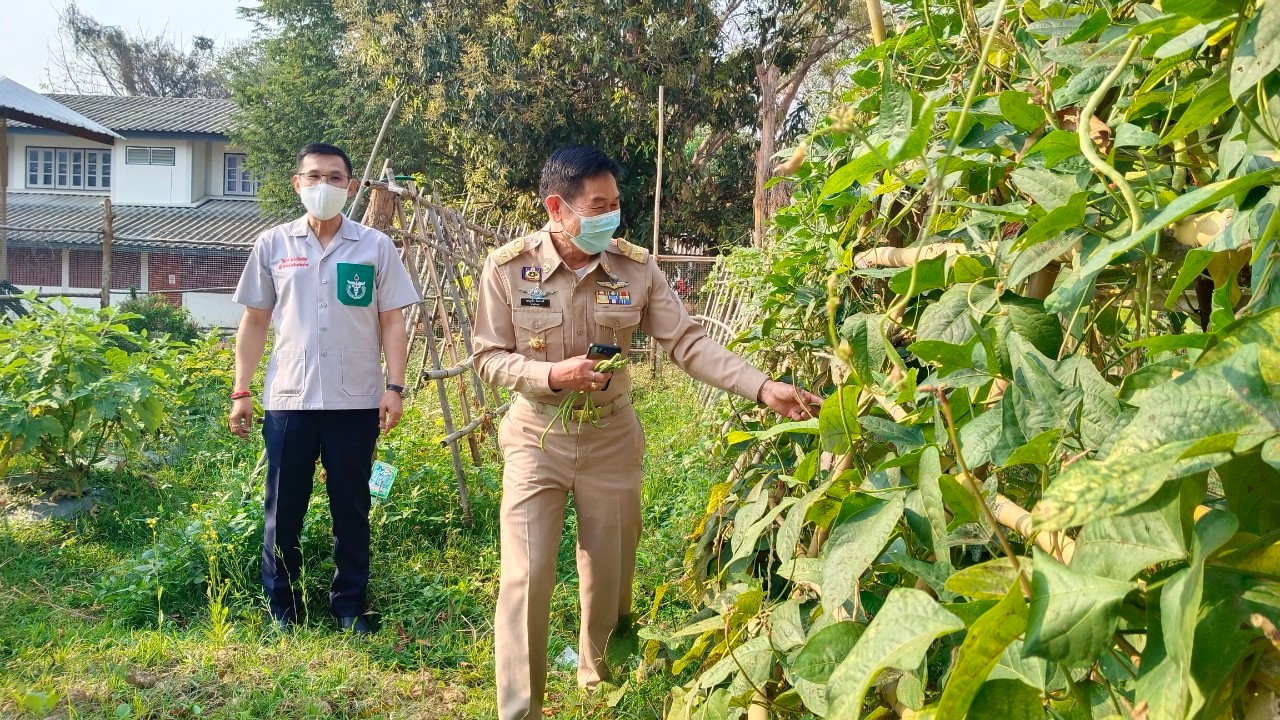พช.น่าน : ผู้ว่าราชการจังหวัดน่าน เยี่ยมแปลงปลูกผักสวนครัวเพื่อสร้างความมั่นคงทางอาหารอำเภอสันติสุข จังหวัดน่าน