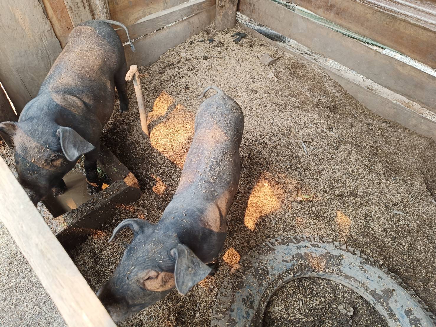 ติดตามและส่งเสริมสนับสนุนการดำเนินงานศูนย์จัดการกองทุนชุมชนบ้านงอบศาลา ตำบลงอบ อำเภอทุ่งช้าง จังหวัดน่าน