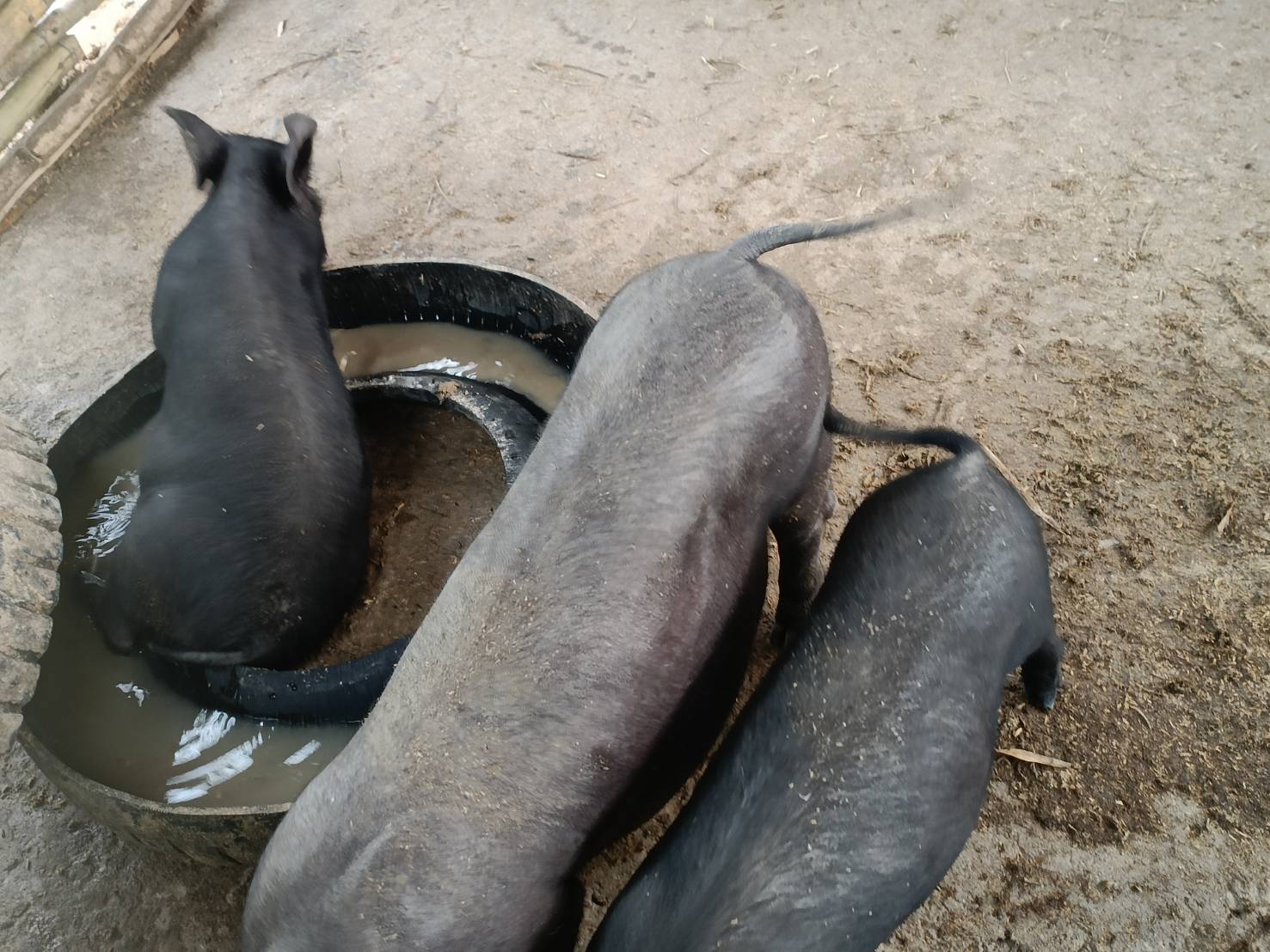 ติดตามและส่งเสริมสนับสนุนการดำเนินงานศูนย์จัดการกองทุนชุมชนบ้านงอบศาลา ตำบลงอบ อำเภอทุ่งช้าง จังหวัดน่าน