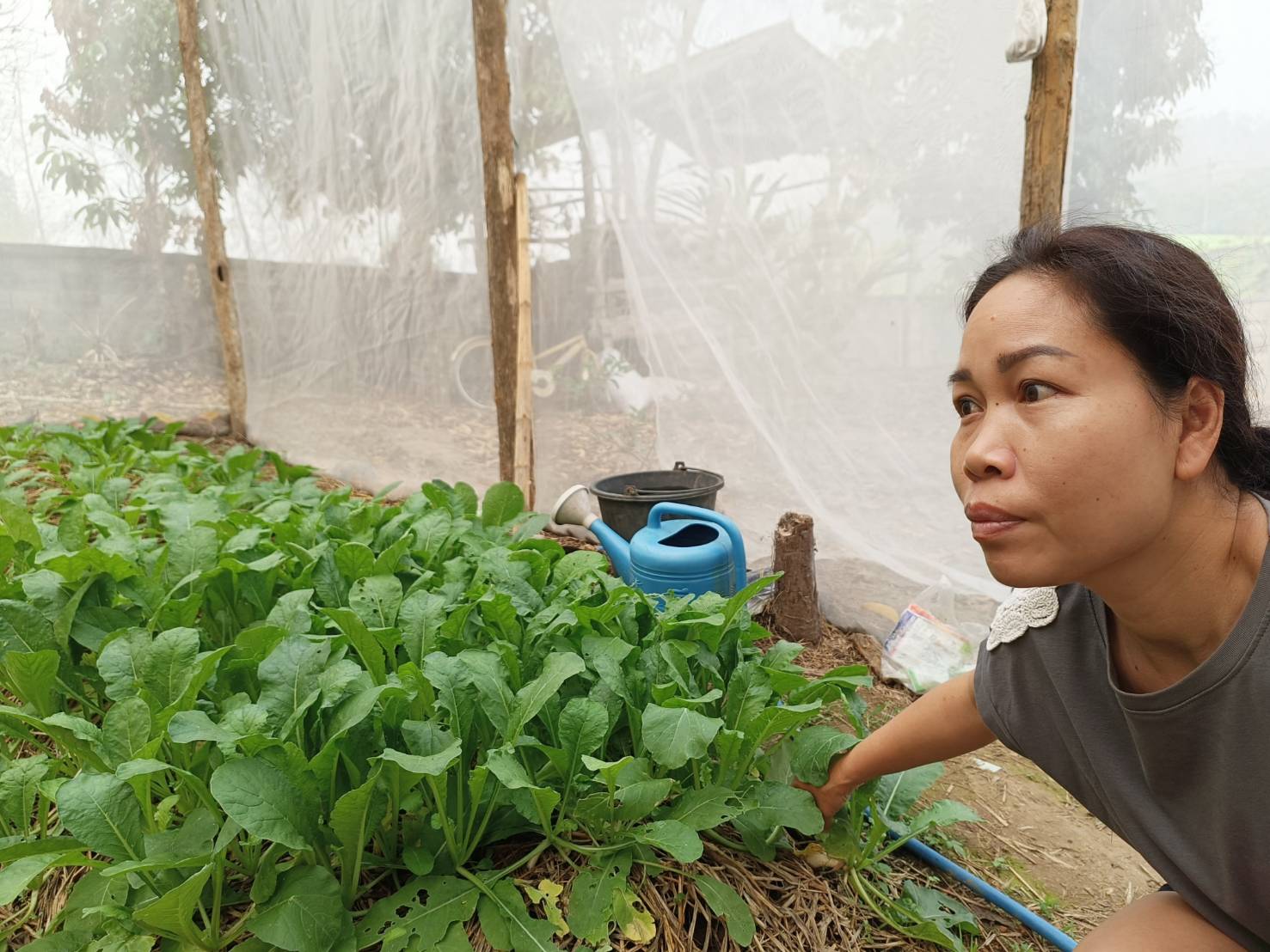 เยี่ยมเยือนให้กำลังใจครัวเรือนยากจน เป้าหมาย TPMAP ที่ผ่านการได้รับความช่วยเหลือการส่งเสริมการประกอบอาชีพ ตามโครงการขจัดความยากจนและพัฒนาคนทุกช่วงวัยอย่างยั่งยืน ตามหลักปรัชญาของเศรษฐกิจพอเพียง ในพื้นที่ อำเภอทุ่งช้าง จังหวัดน่าน