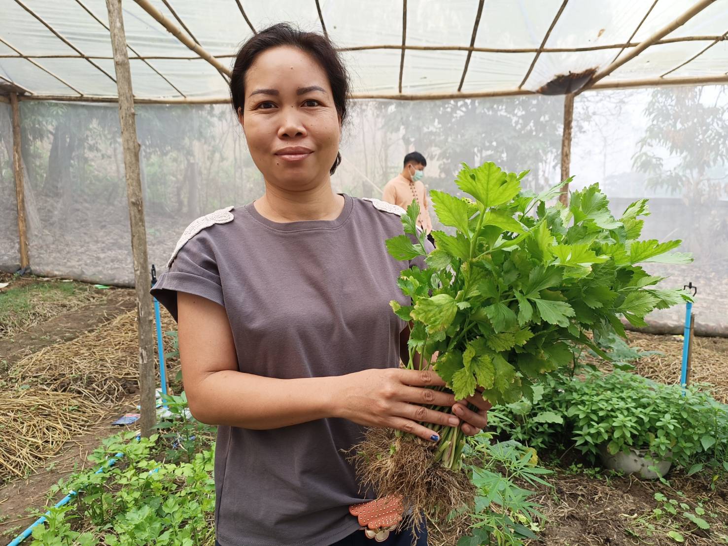 เยี่ยมเยือนให้กำลังใจครัวเรือนยากจน เป้าหมาย TPMAP ที่ผ่านการได้รับความช่วยเหลือการส่งเสริมการประกอบอาชีพ ตามโครงการขจัดความยากจนและพัฒนาคนทุกช่วงวัยอย่างยั่งยืน ตามหลักปรัชญาของเศรษฐกิจพอเพียง ในพื้นที่ อำเภอทุ่งช้าง จังหวัดน่าน