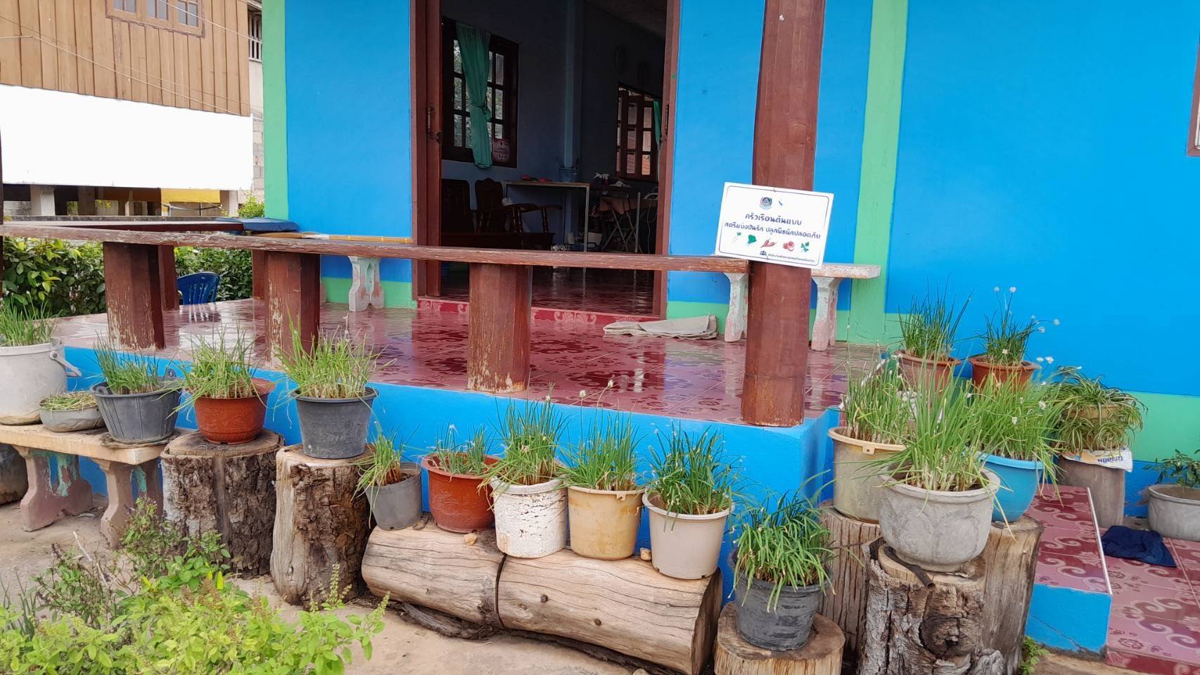 เยี่ยมเยือนครัวเรือนต้นแบบการปลูกผักสวนครัวเพื่อสร้างความมั่นคงทางอาหาร ในพื้นที่ตำบลถืมตอง อำเภอเมืองน่าน จังหวัดน่าน