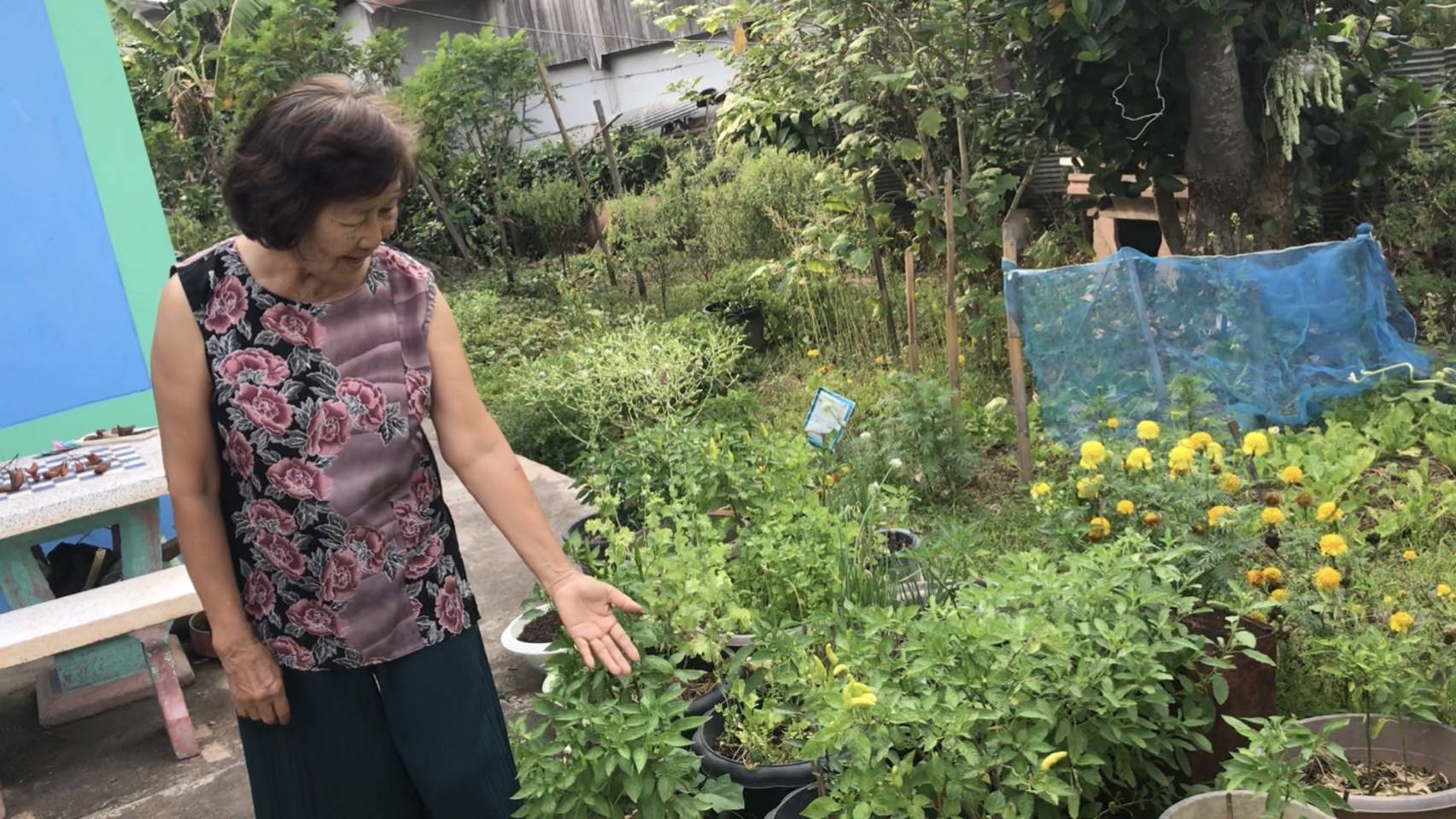 เยี่ยมเยือนครัวเรือนต้นแบบการปลูกผักสวนครัวเพื่อสร้างความมั่นคงทางอาหาร ในพื้นที่ตำบลถืมตอง อำเภอเมืองน่าน จังหวัดน่าน