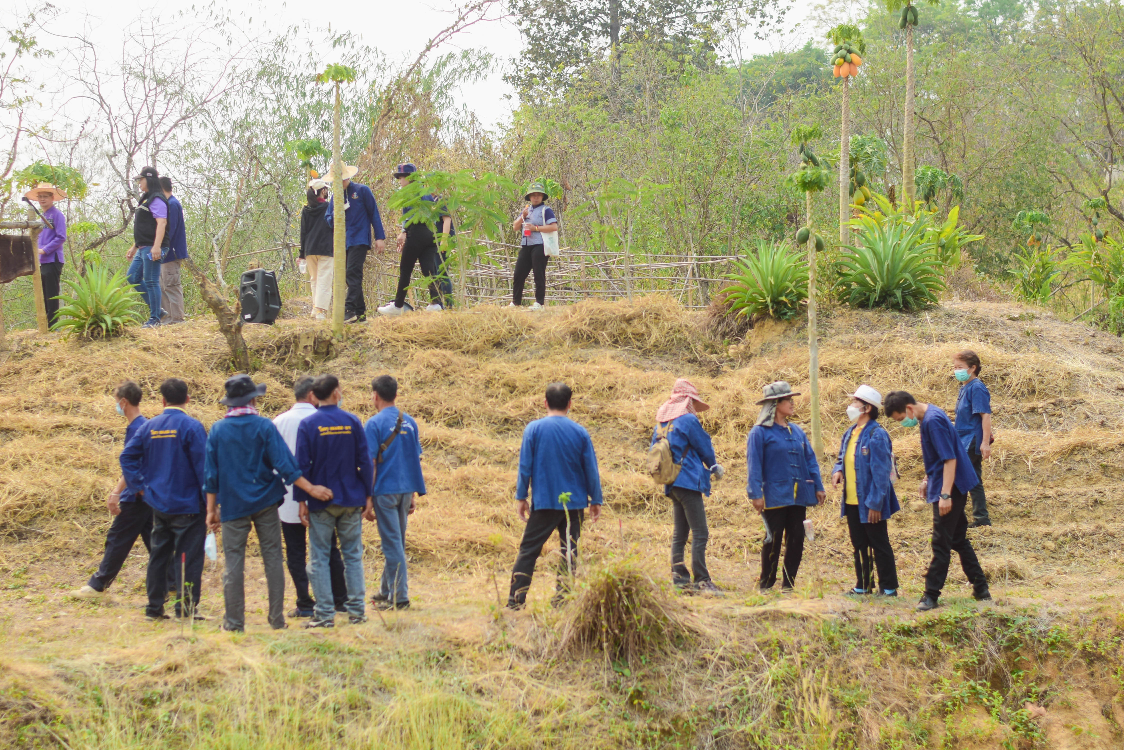 พช.น่าน ร่วมกับเครือข่ายโคก หนอง นา พัฒนาชุมชนนาน้อย จัดกิจกรรมเอามื้อสามัคคี “โคก หนอง นา พัฒนาชุมชนนาน้อย”